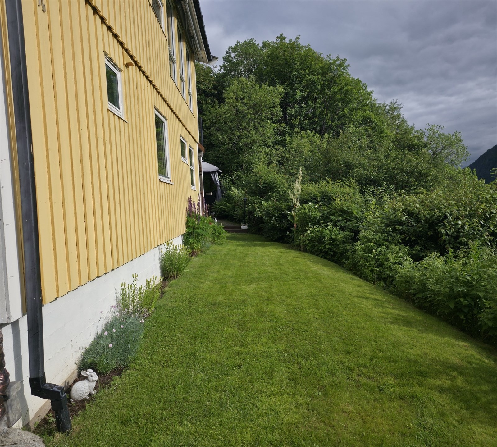 Selger bilde fra deler av hagen Galleribilde