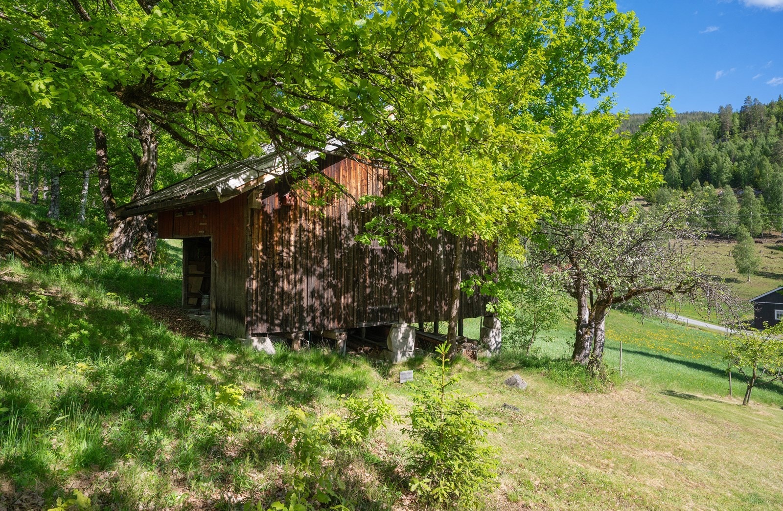 Vedskjul. Galleribilde