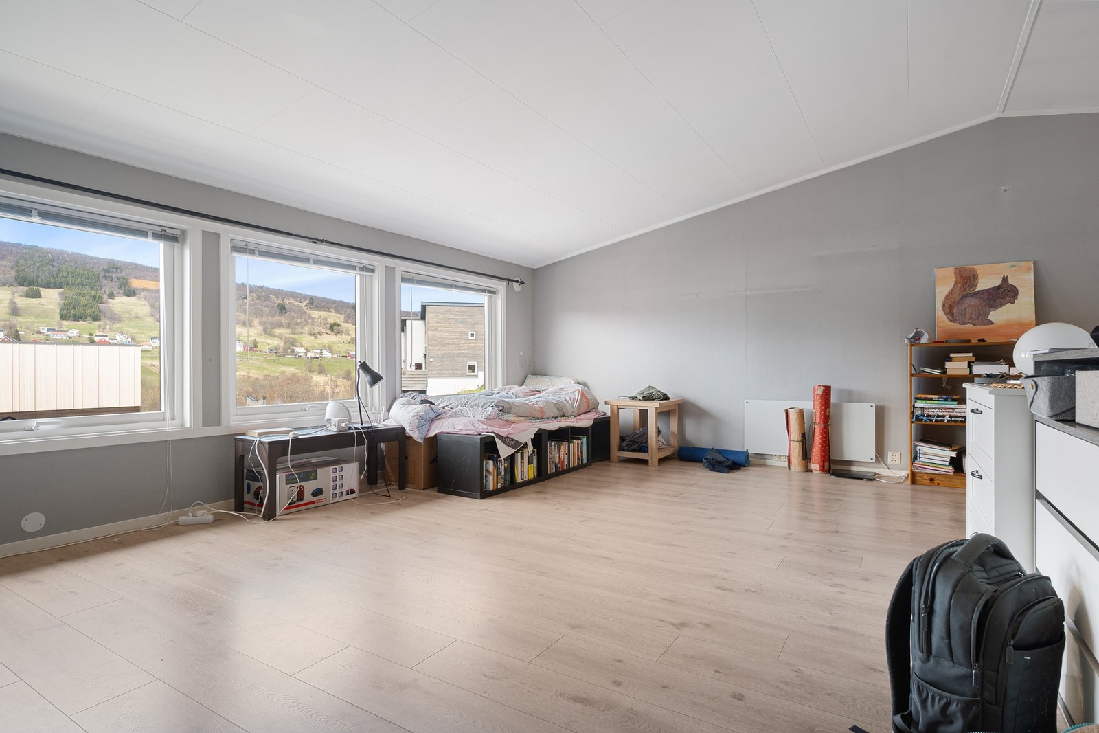 Stue Galleribilde
