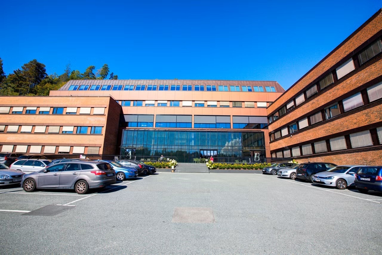 Galleribilde