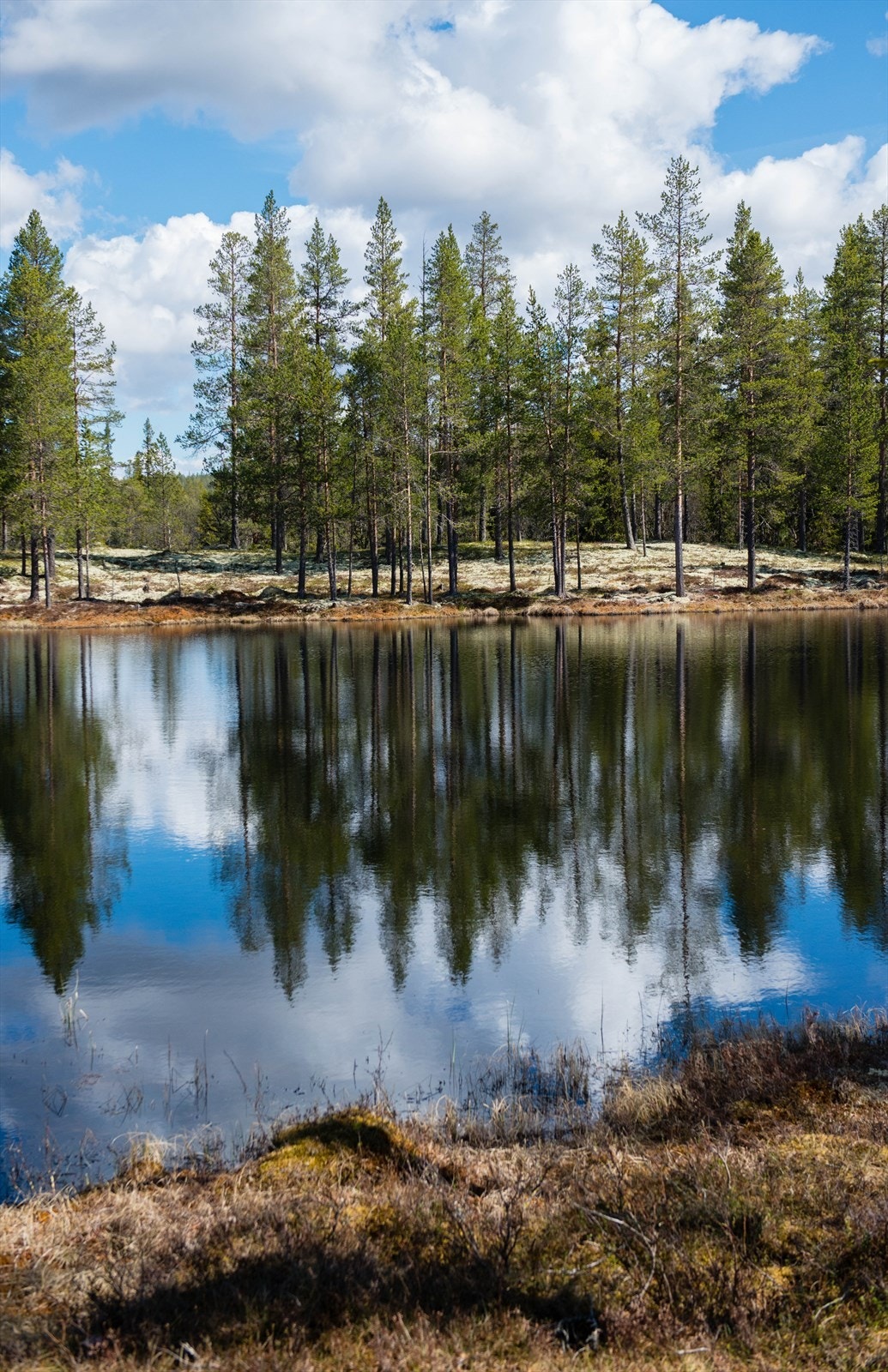 Vannspeil på en godværsdag Galleribilde