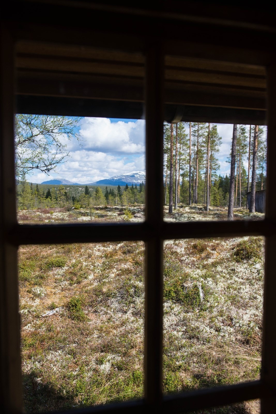 Utsikt mot Sølen gjennom vinduet fra spiseplass Galleribilde