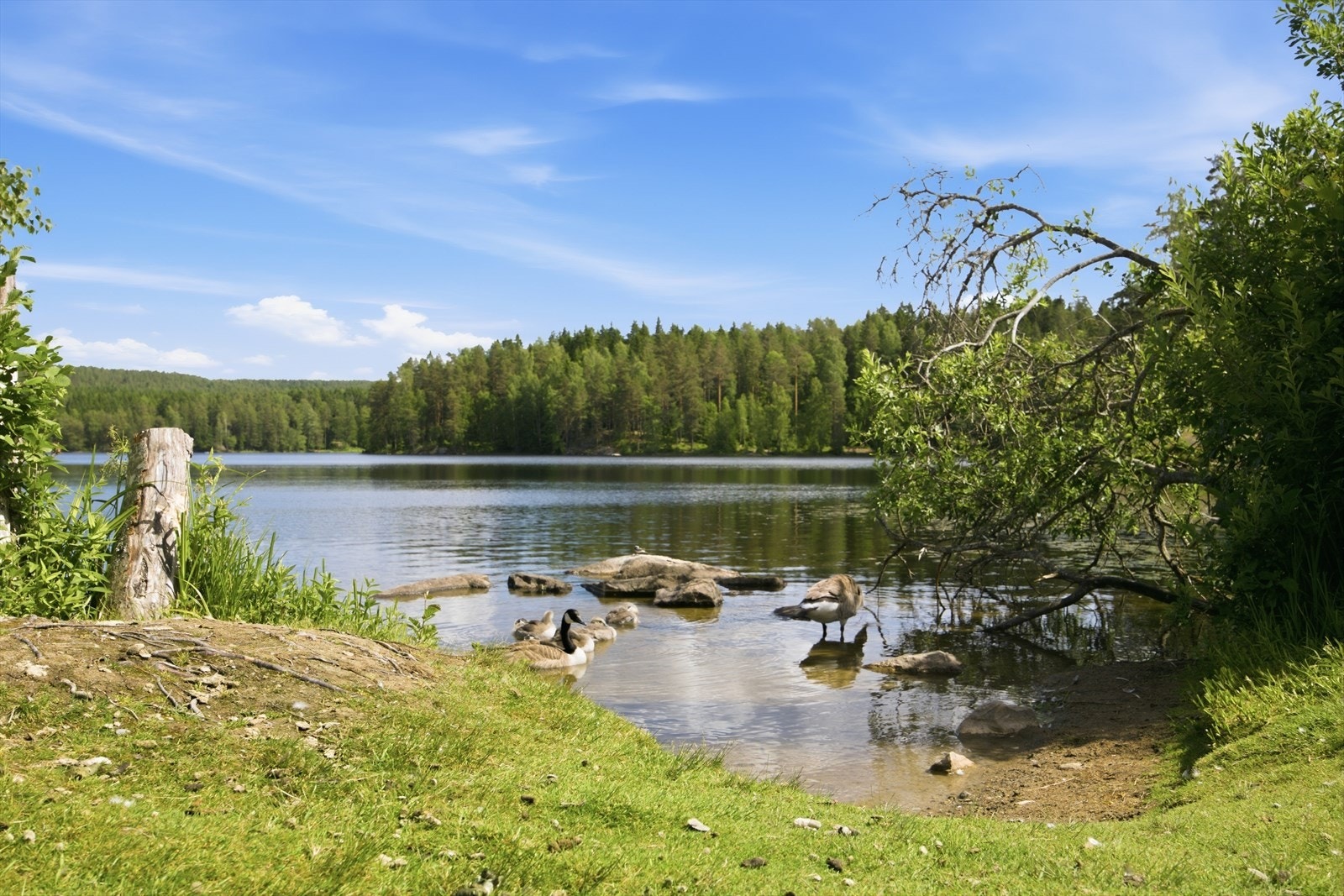 Idylliske vann og skogsområder gir gode muligheter for turer og rekreasjon i nærområdet. I Østmarka finnes det menger med krystaller og sopp. Galleribilde
