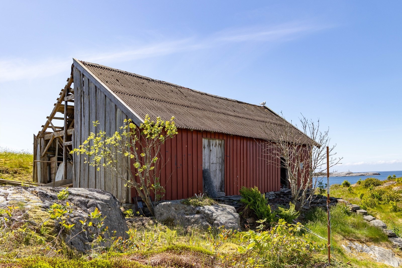 Tuevegen_7-15.jpg Galleribilde