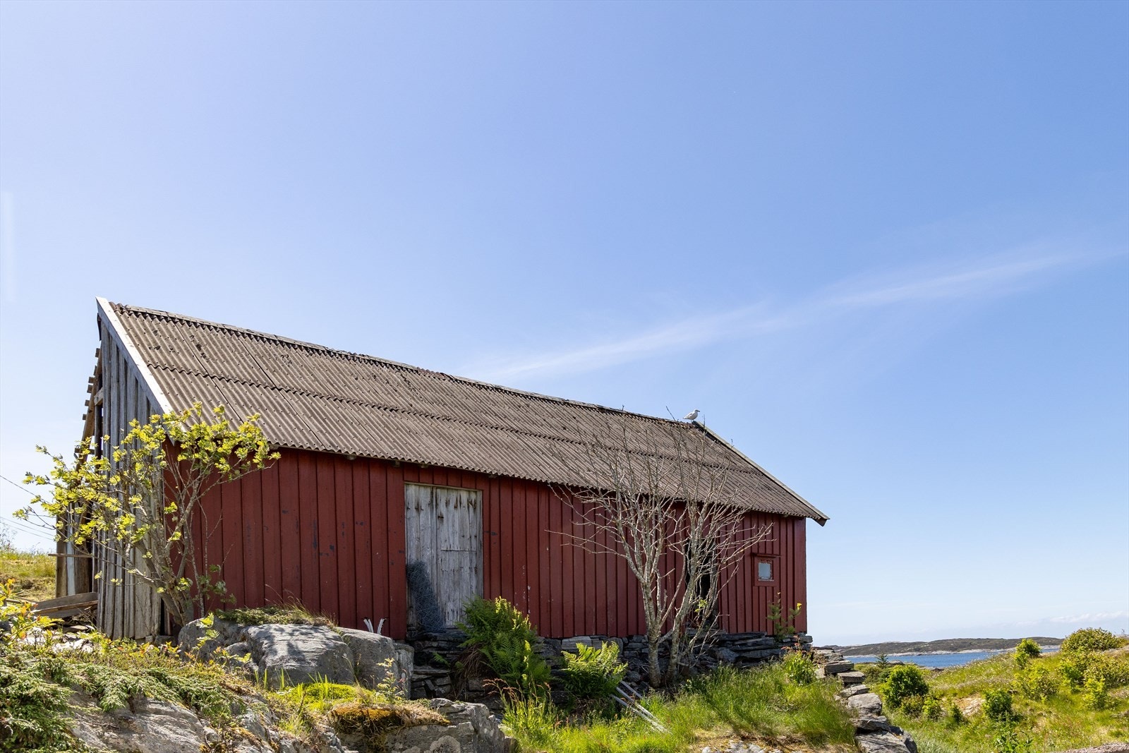 Tuevegen_7-20.jpg Galleribilde