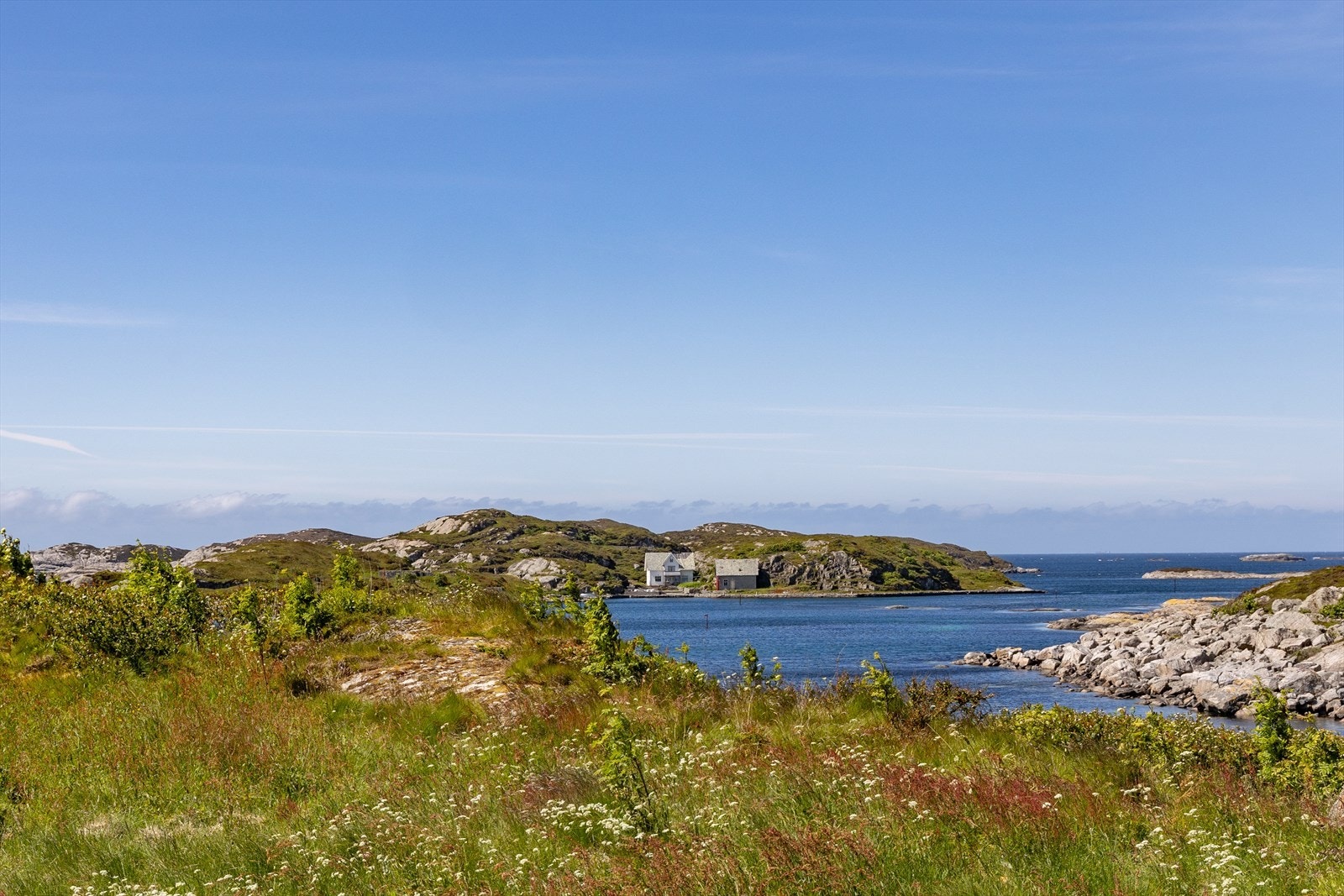 Tuevegen_7-21.jpg Galleribilde