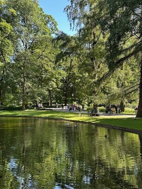 Slottsparken ligger kun få minutters gange fra boligen og byr på flotte omgivelser året rundt. Galleribilde