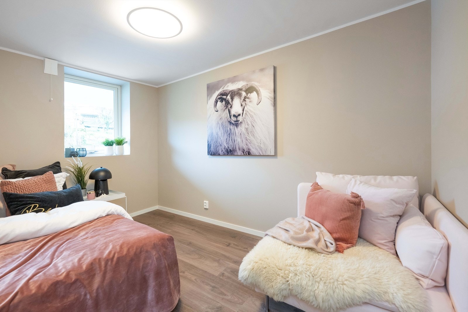 Rommet har plass til både seng og en liten sittegruppe eller arbeidsplass. Galleribilde