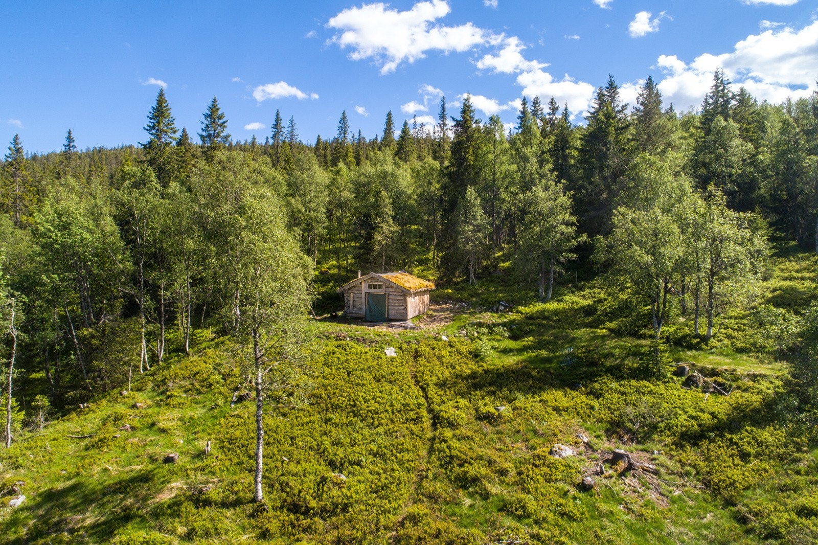 Galleribilde