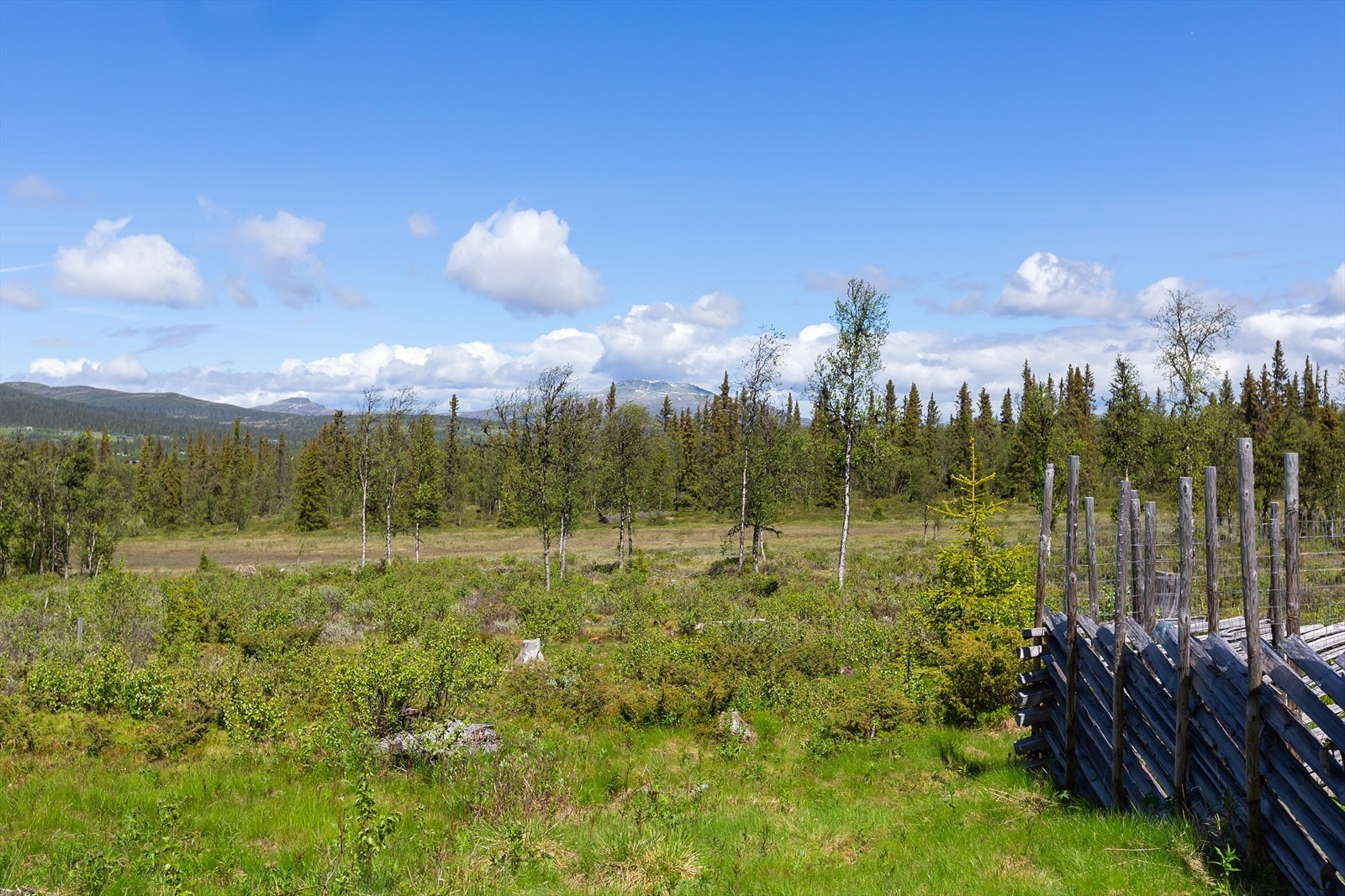 De mange stiene og stølsveiene i området er perfekte for sykkelturer, og med fjelltopper som f. eks. Skaget, Gravfjellet, Rundemellen og Skarvemellen kan en også få en fin fjelltur. Galleribilde