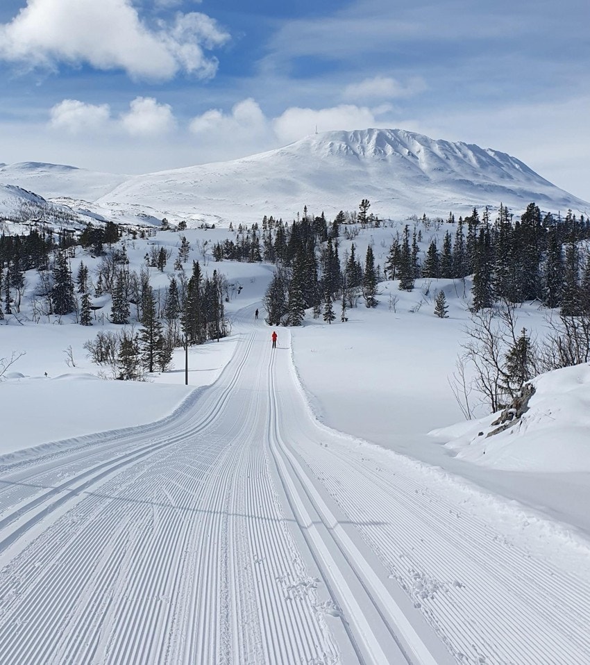 Langrenn og tur - Svartdalsløypa (lysløypa) langs Kvitåvatn ved Gaustatoppen Galleribilde