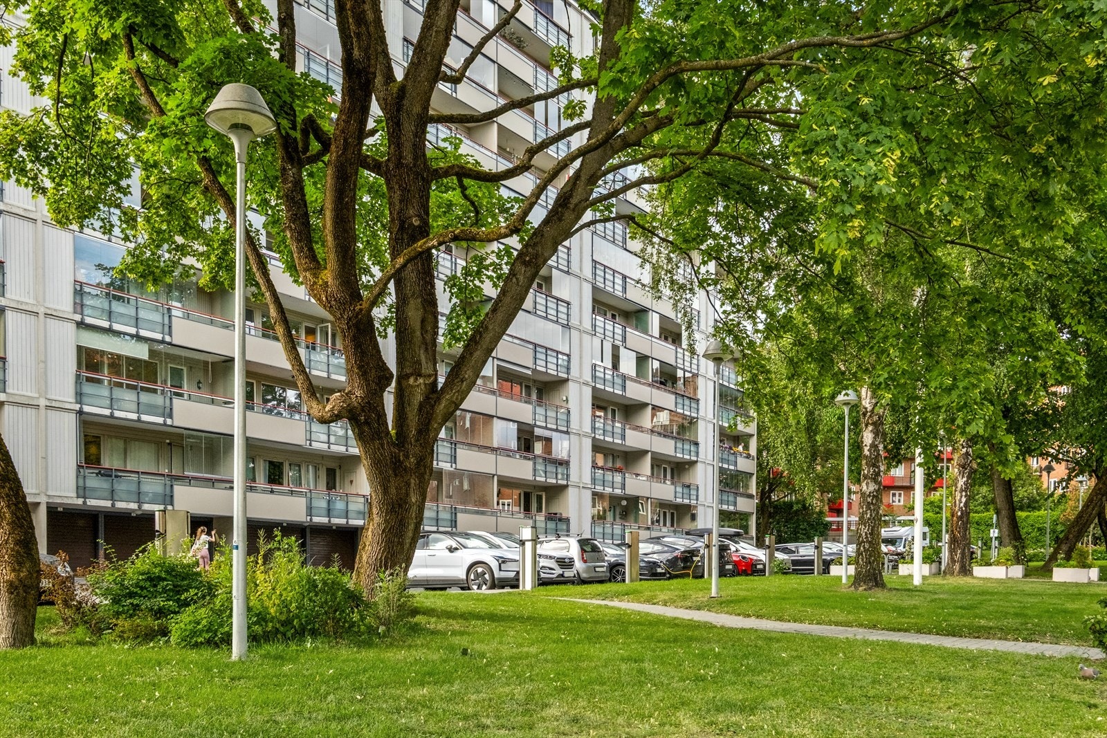 Området har svært gode kollektivforbindelser med både trikk og buss fra Rosenhoff holdeplass, og med kort vei til Carl Berners plass med trikk, buss og T-bane. Herfra kommer du deg raskt til sentrum, Nydalen, BI og øvrige deler av byen. Galleribilde
