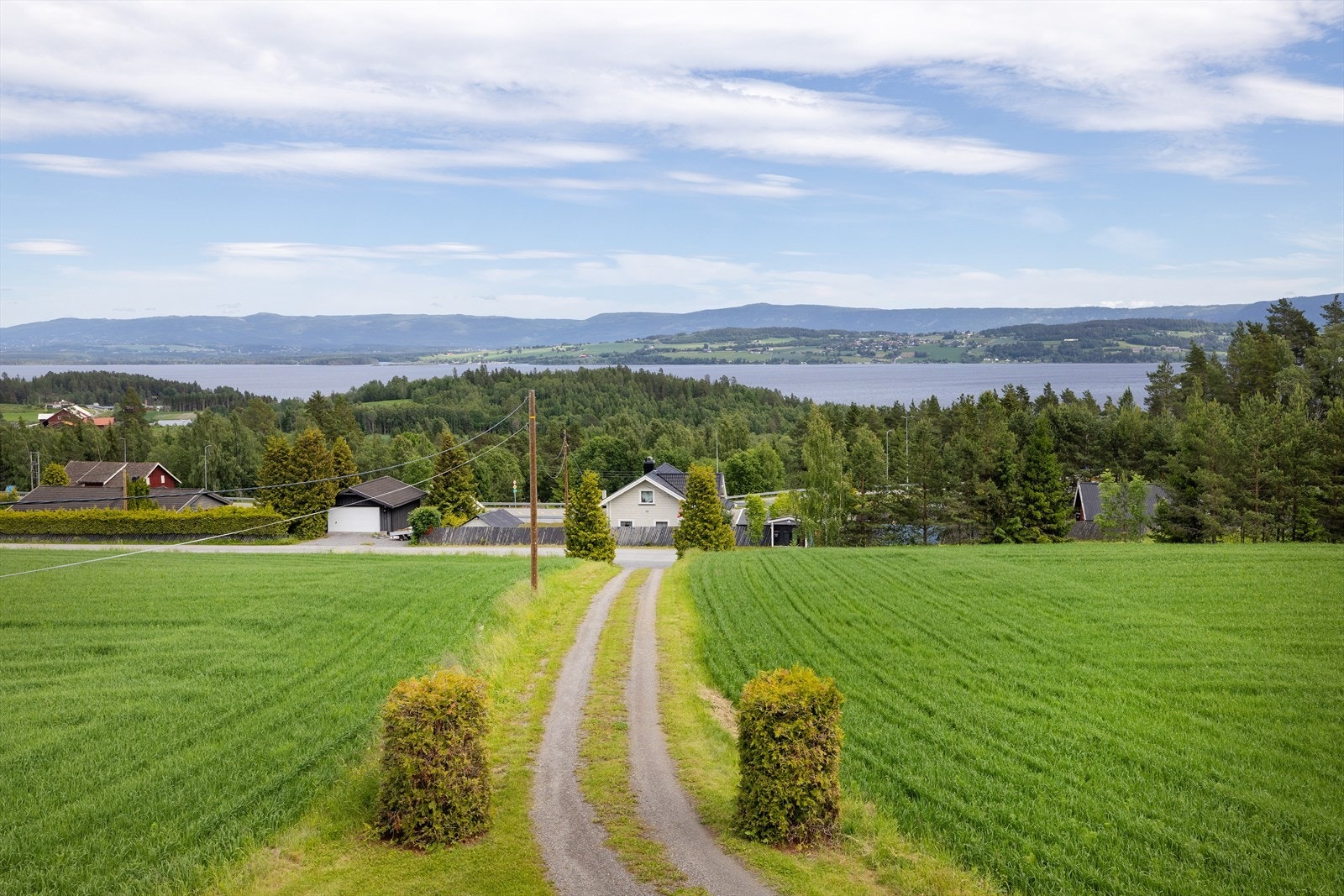 Velkommen til visning! Galleribilde