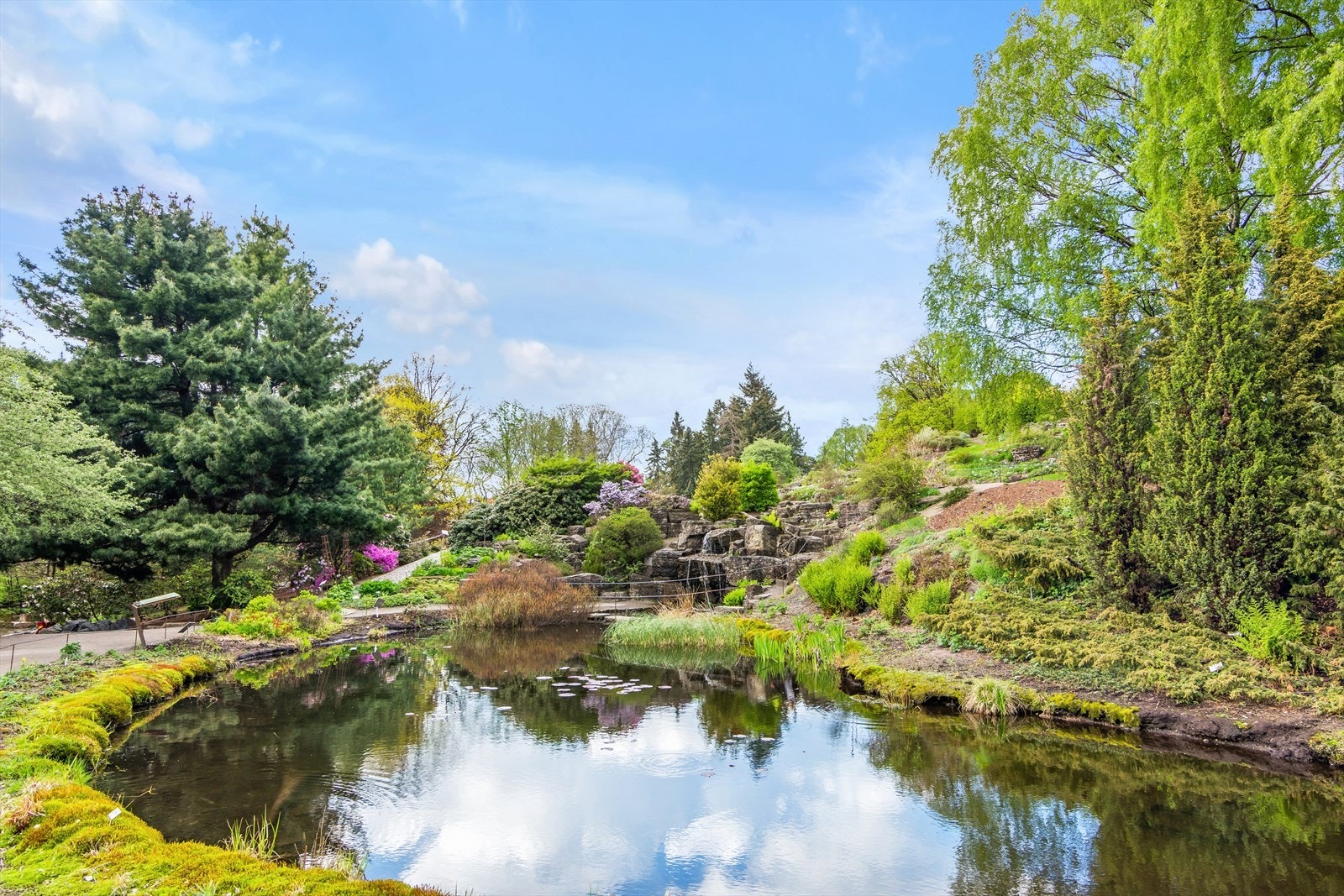 Vakre Botanisk Hage ligger i kort avstand fra boligen. Perfekt for hyggelige søndagsturer! Galleribilde