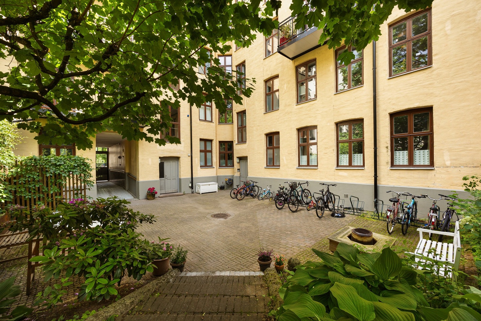 Fin og grønn bakgård Galleribilde