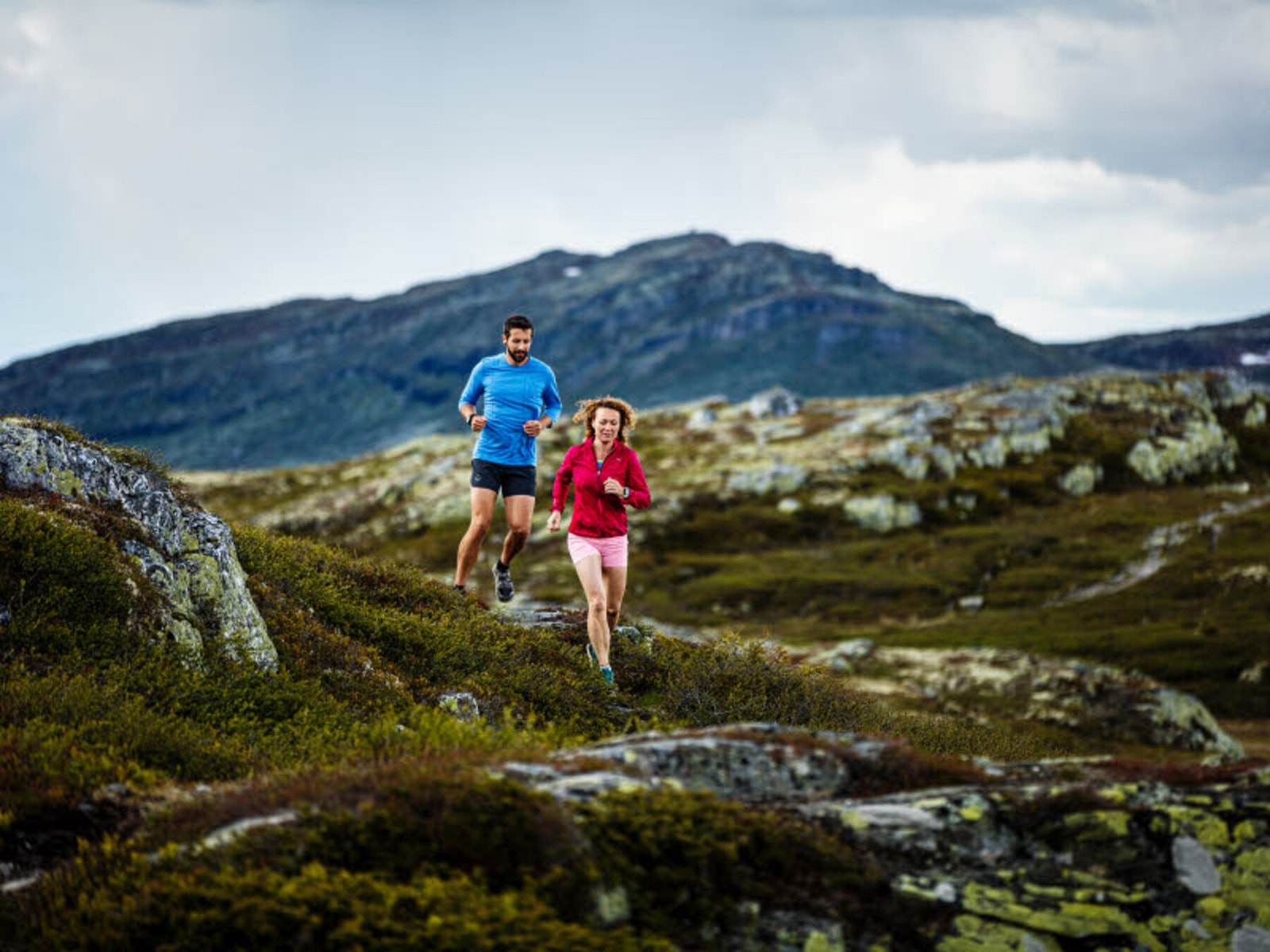 Fint turterreng sommer som vinter Galleribilde