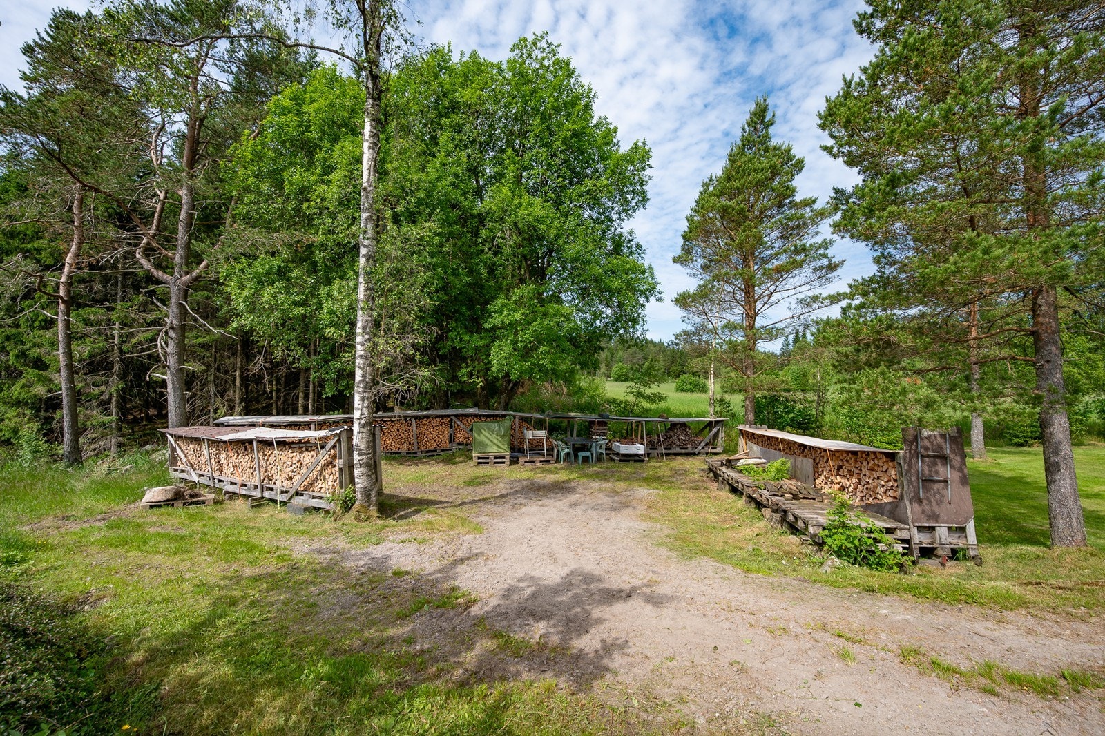 Ved fra egen skog Galleribilde