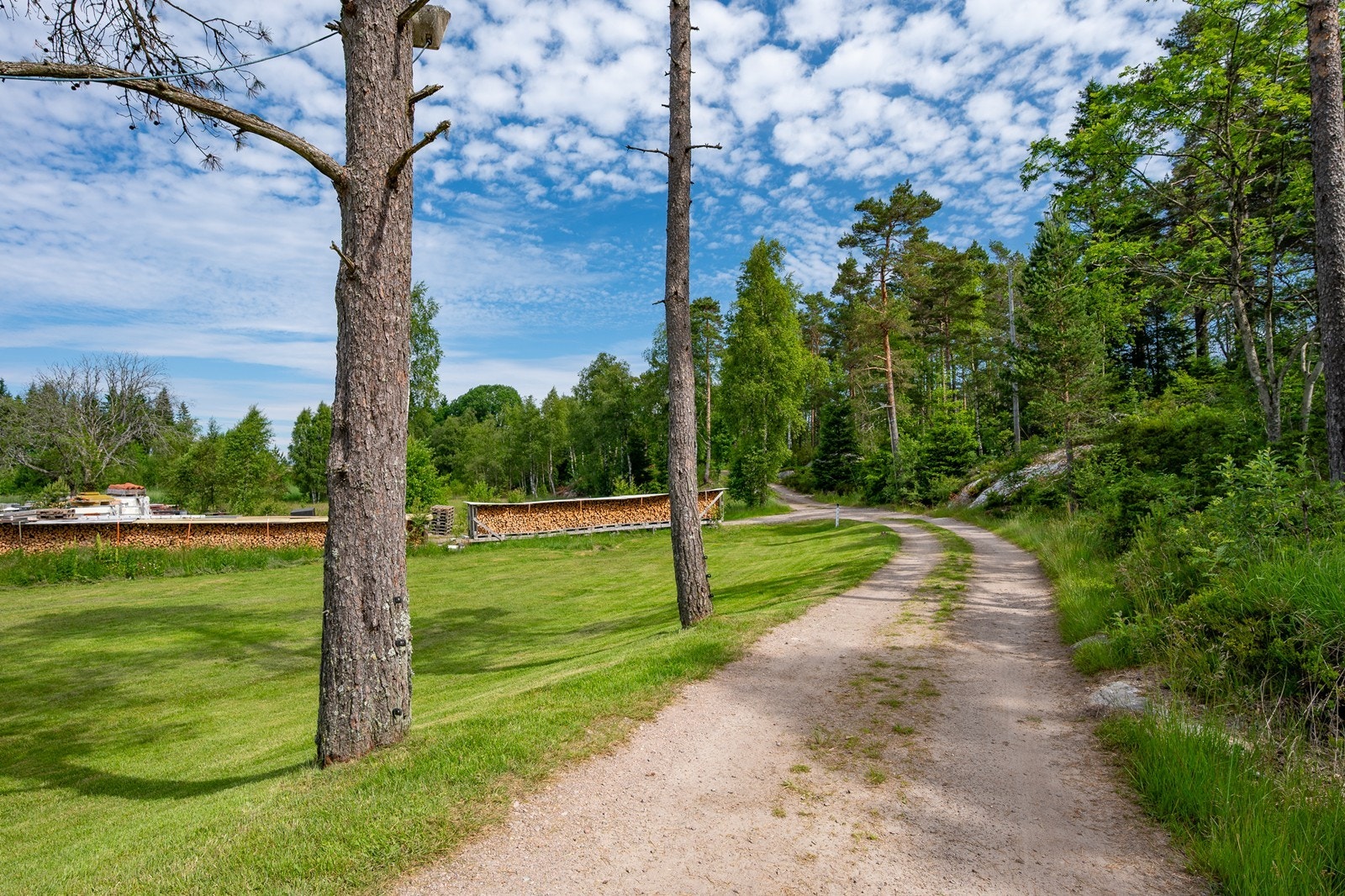 Veien er vedlikeholdt med 2-300 tonn grus Galleribilde