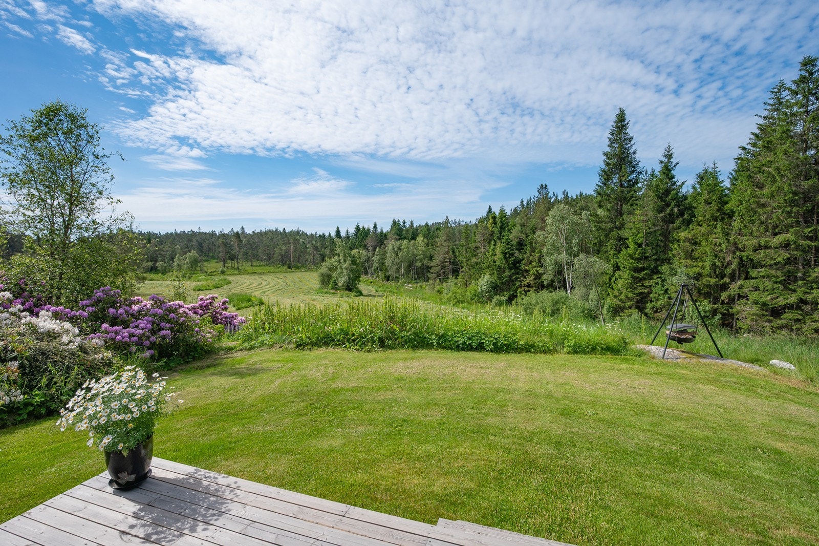 Sydvendt, solrik terrasse med idyllisk utsikt mot jorder og skog Galleribilde