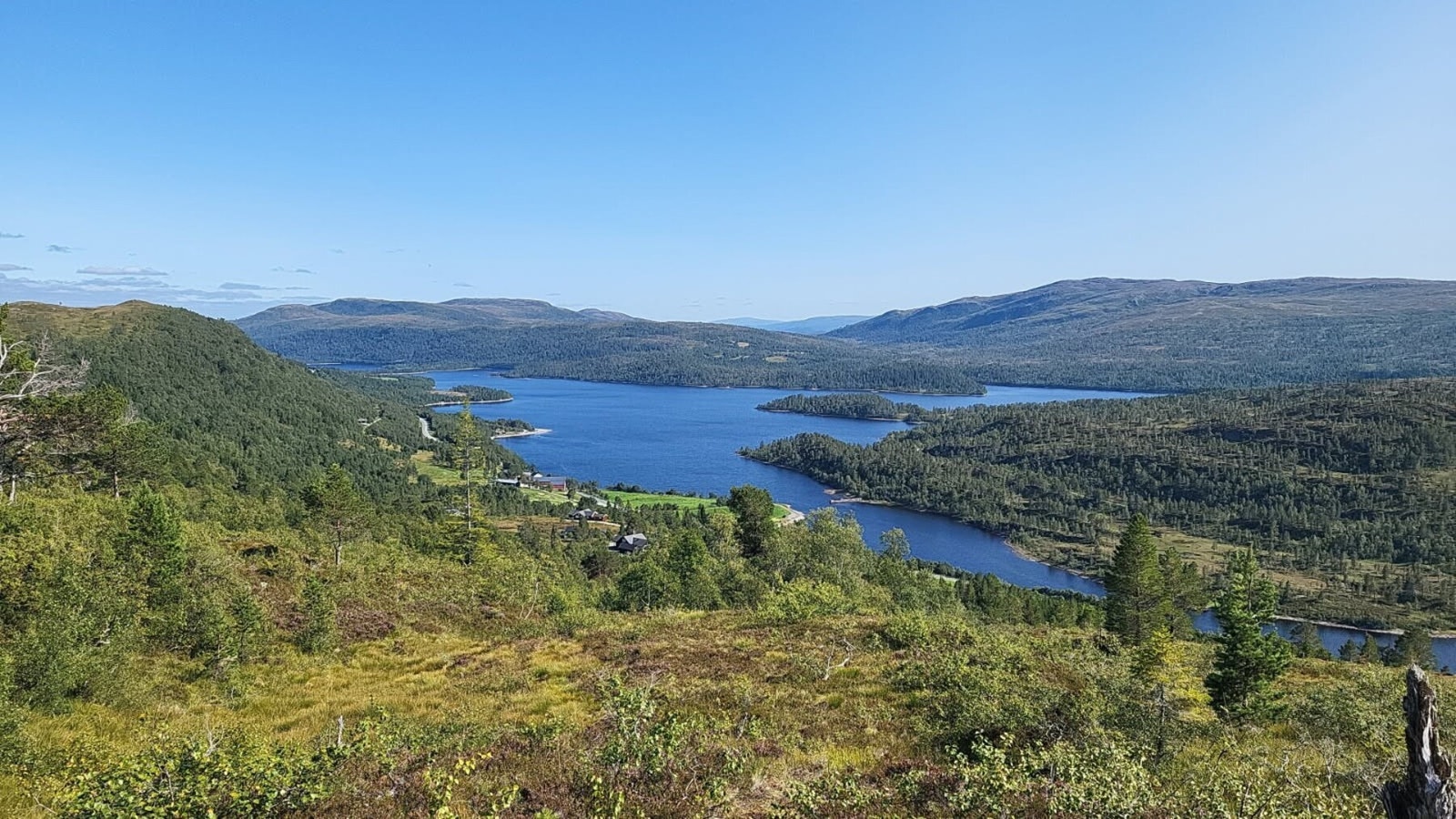 Bilde fra selger. Galleribilde