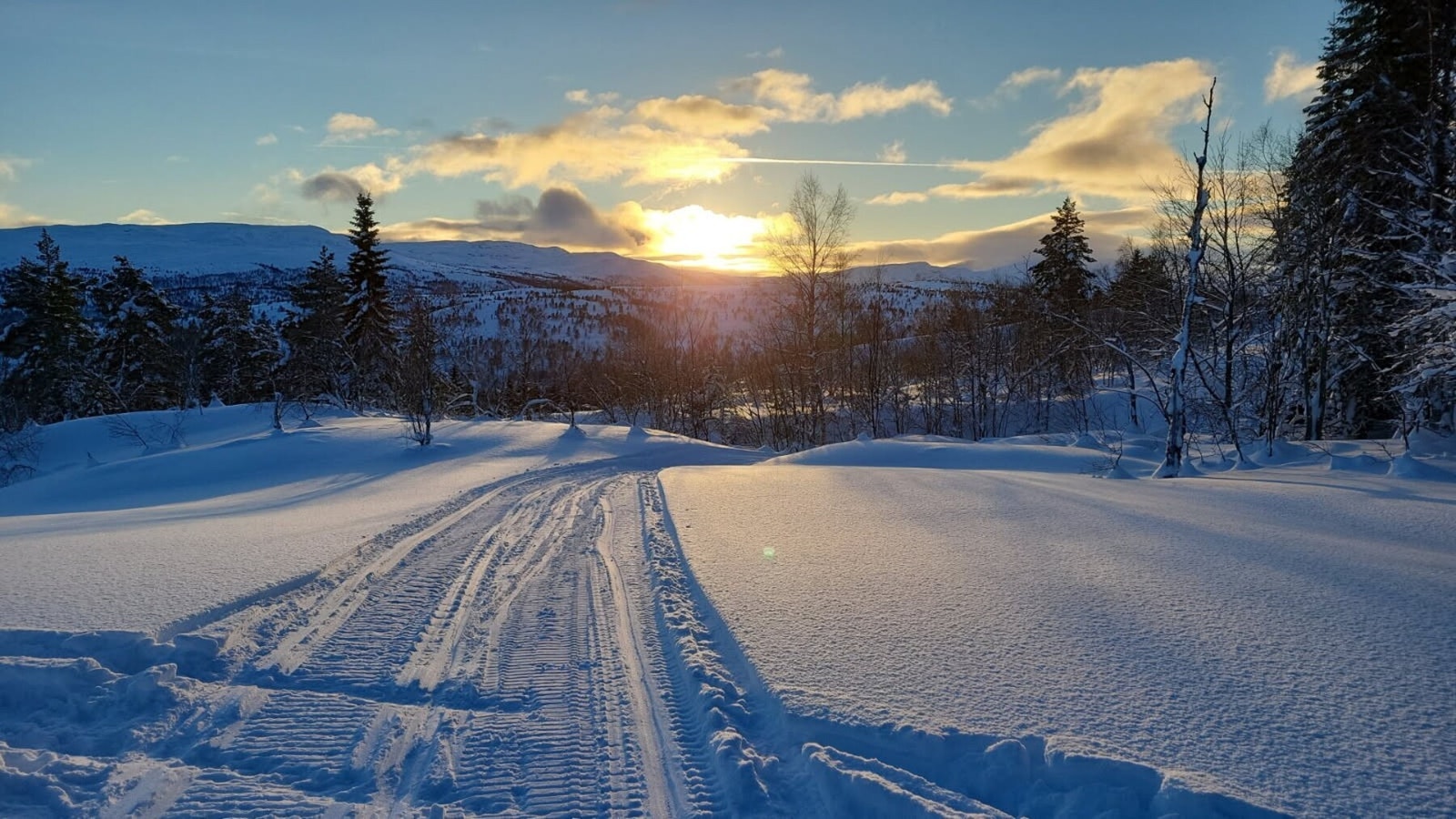 Bilde fra selger. Galleribilde