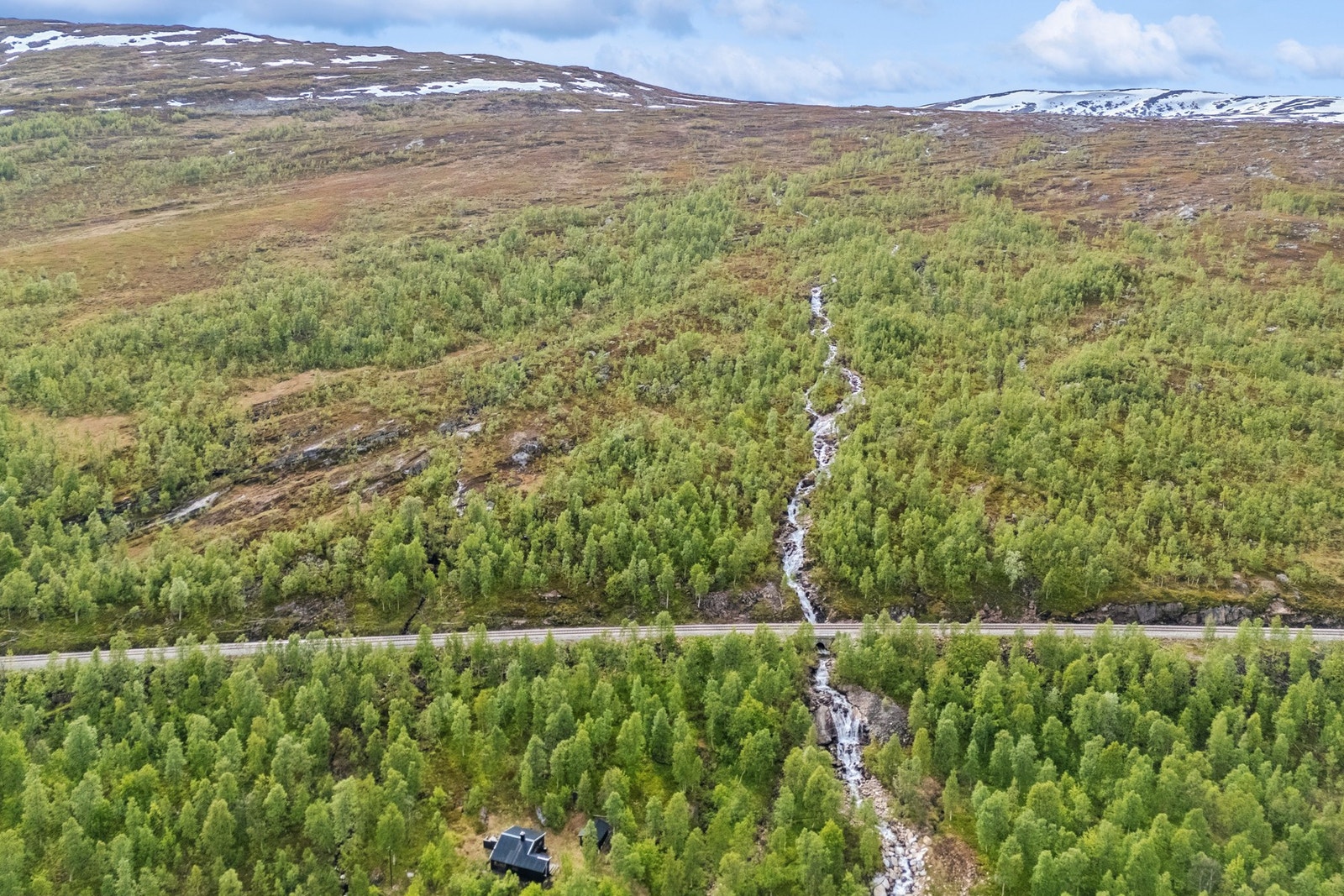 Rett utenfor hytta er her ypperlig terreng for jakt på både fjell- og liryper. Galleribilde