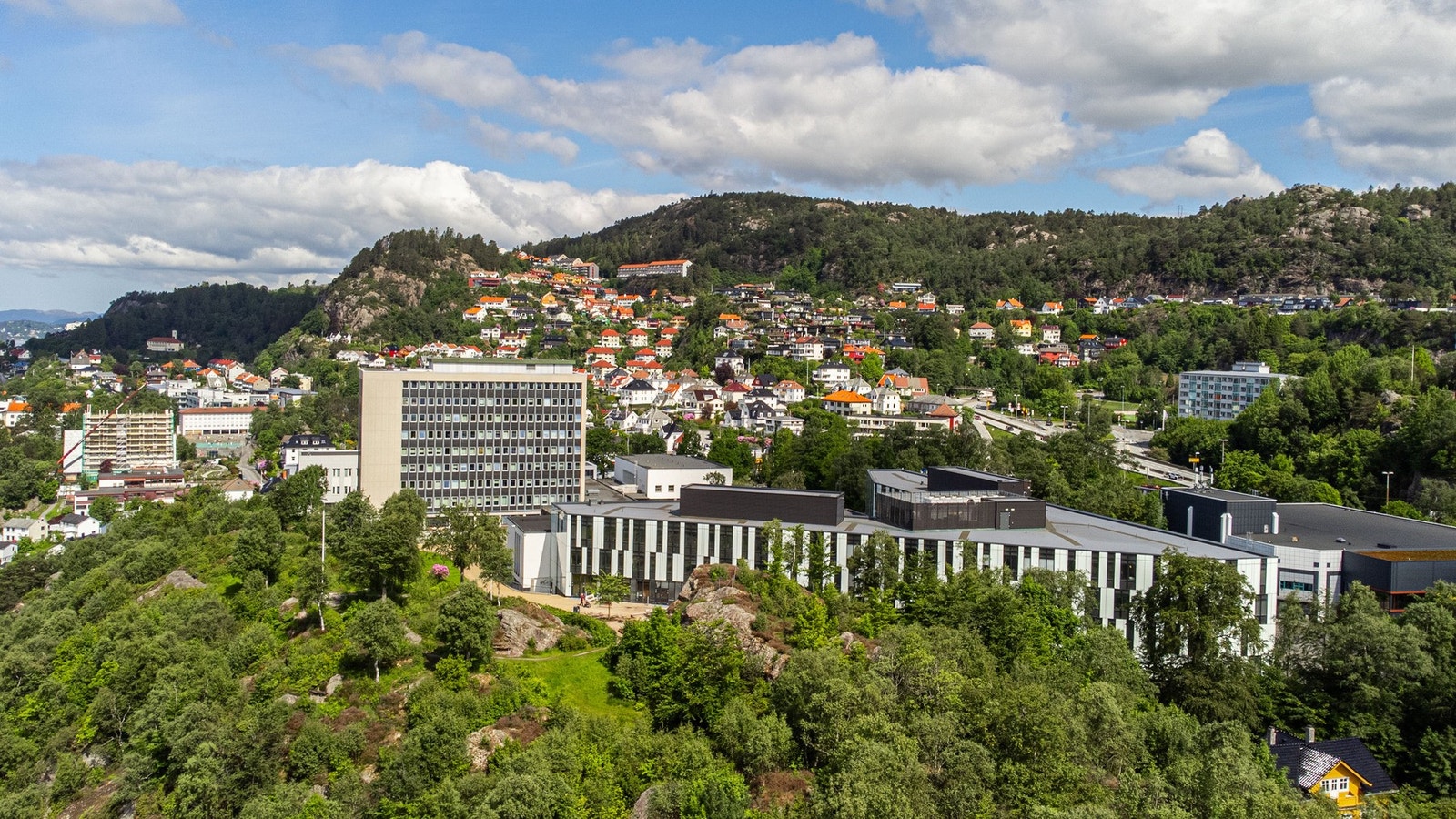 Norges Handelshøyskole (NHH) ligger bare et par minutters gange fra boligen, noe som gjør dette til et ideelt sted å bo for studenter og ansatte. Galleribilde