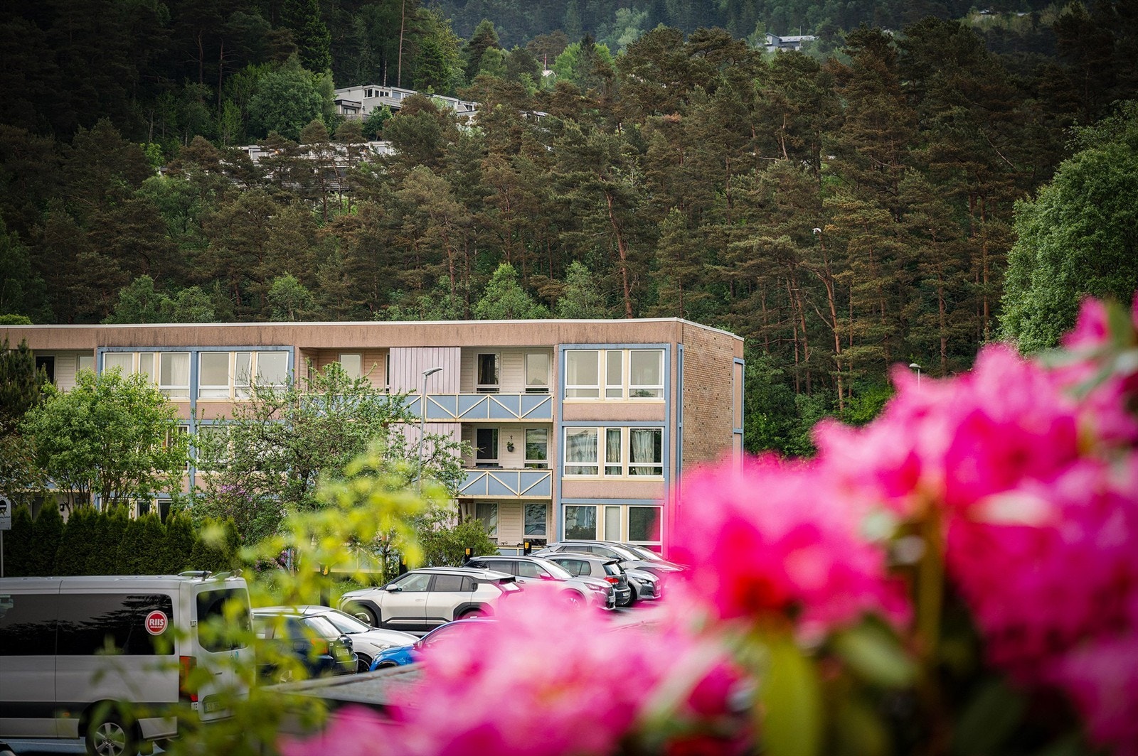 Lyshovden Borettslag er et veletablert lag fra 1970. Galleribilde