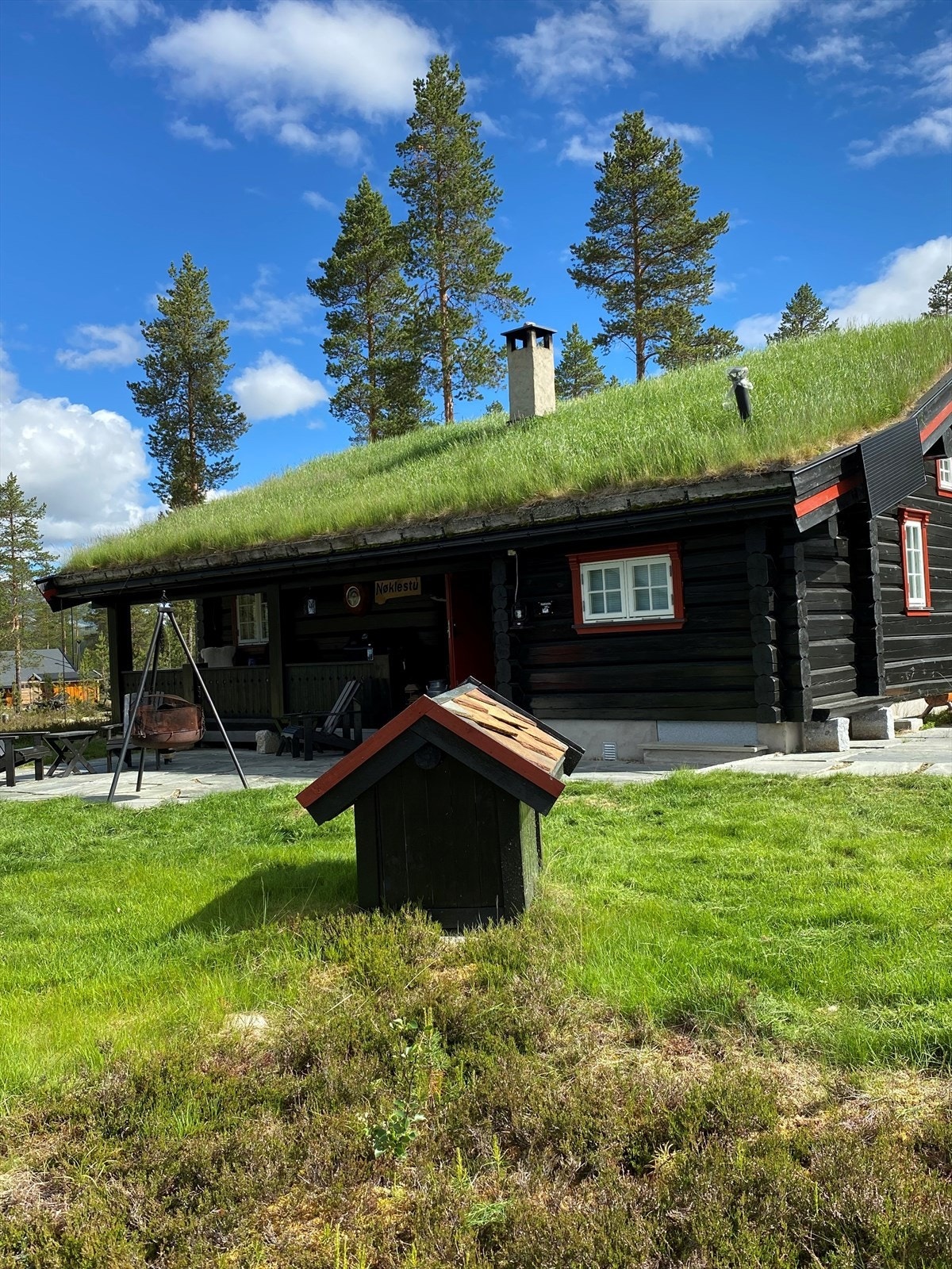 Privat bilde Galleribilde