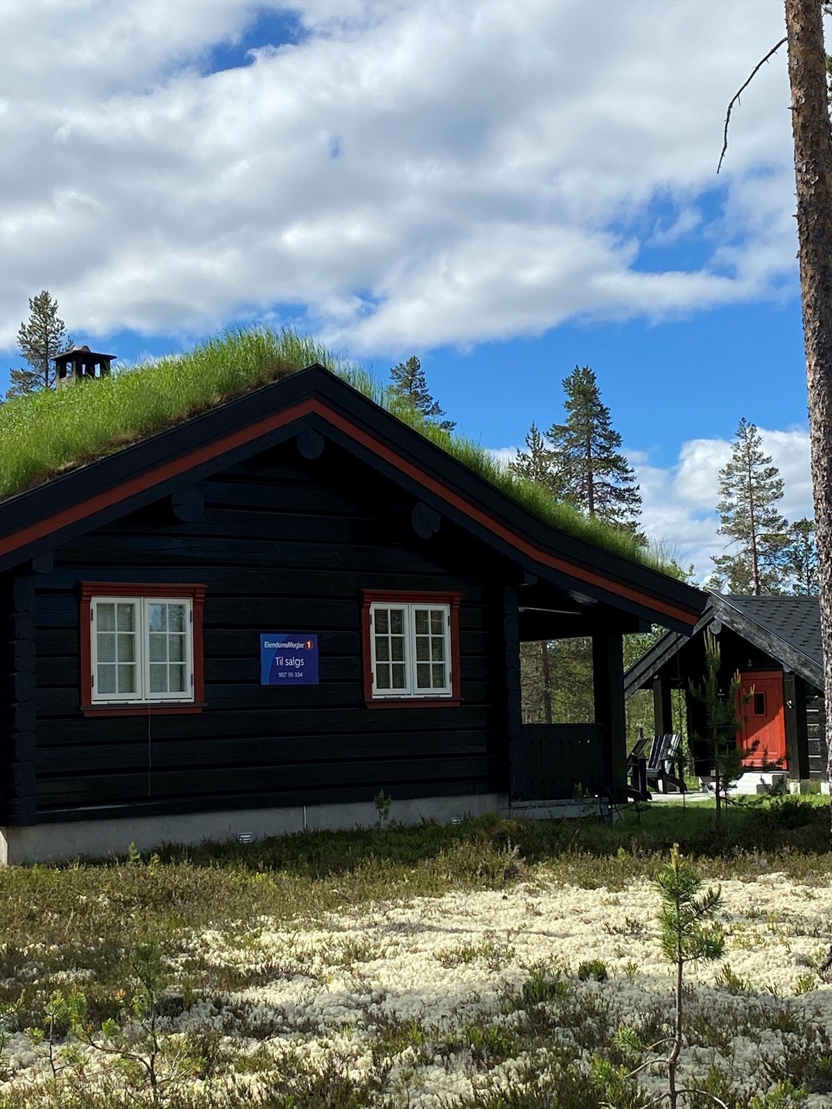 Privat bilde Galleribilde