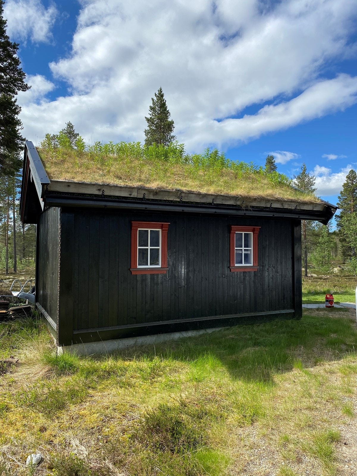 Privat bilde Galleribilde