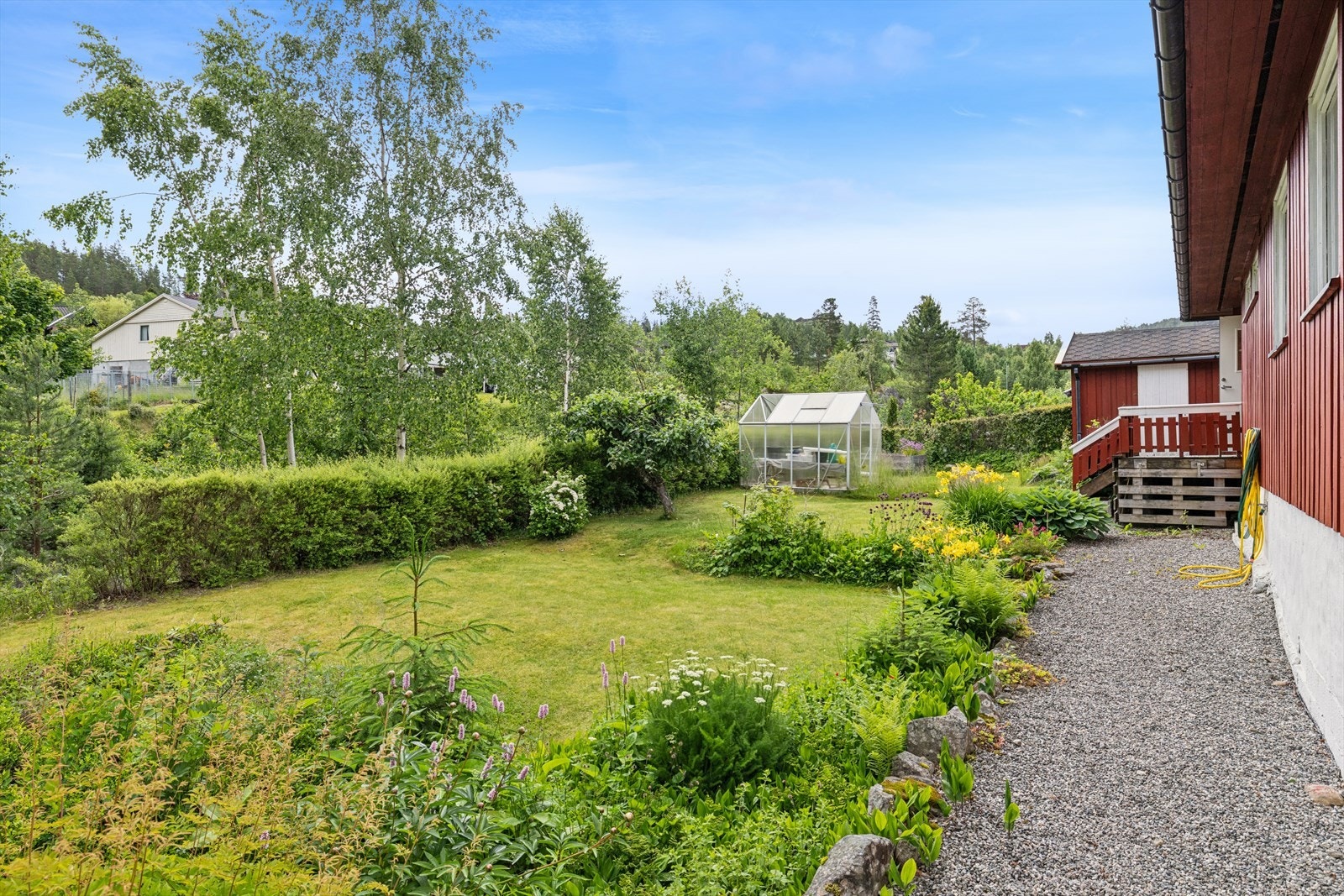 Stor tomt på over 1000 m² med plen, beplantning og drivhus. Galleribilde