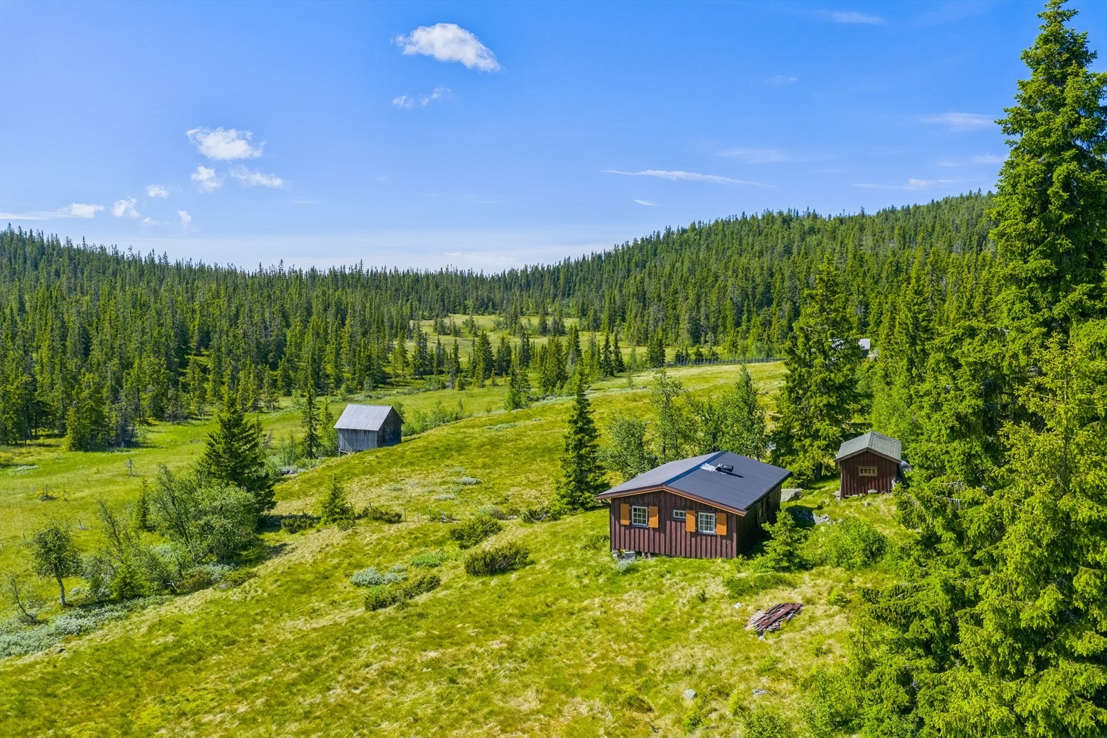 Velkommen til Aurtjernåsvegen 91! Fotograf: Tor Solberg. Galleribilde