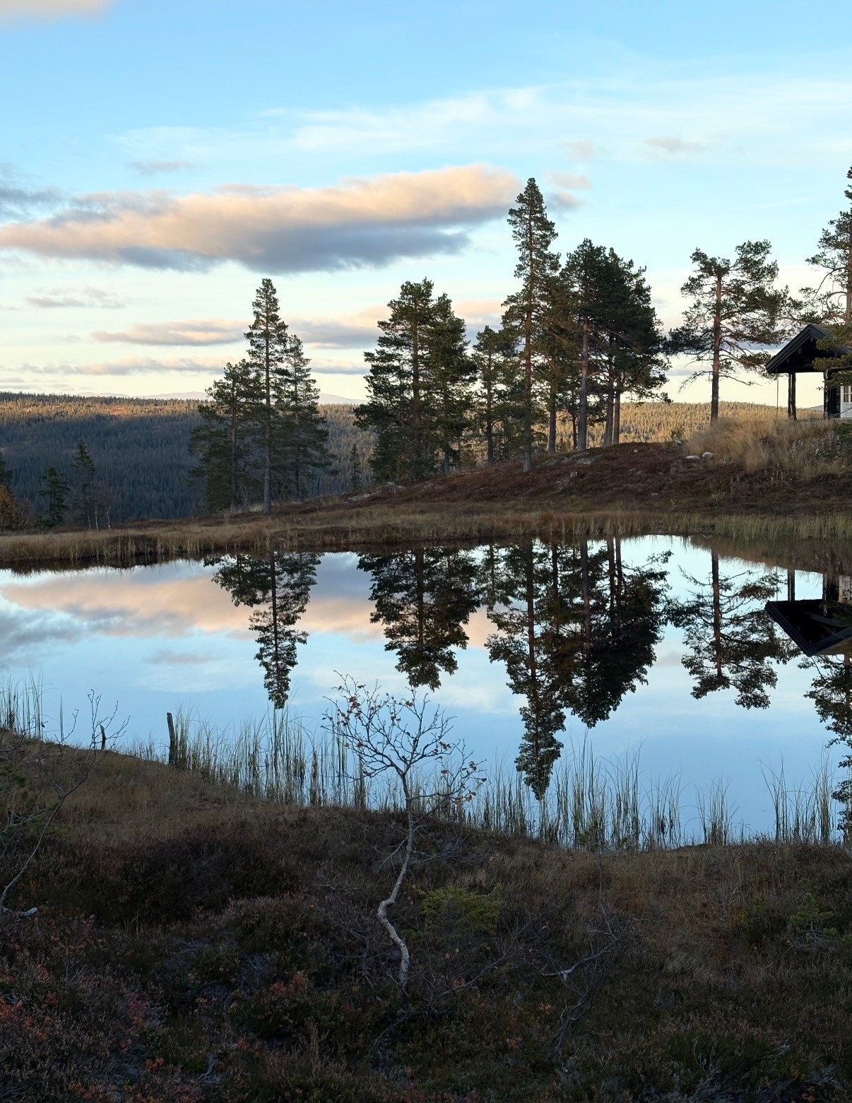 Hytta har en helt spesiell beliggenhet rett ved et lite tjern som skaper et flott vannspeil med naturskjønn utsikt! (Selgers private bilde) Galleribilde