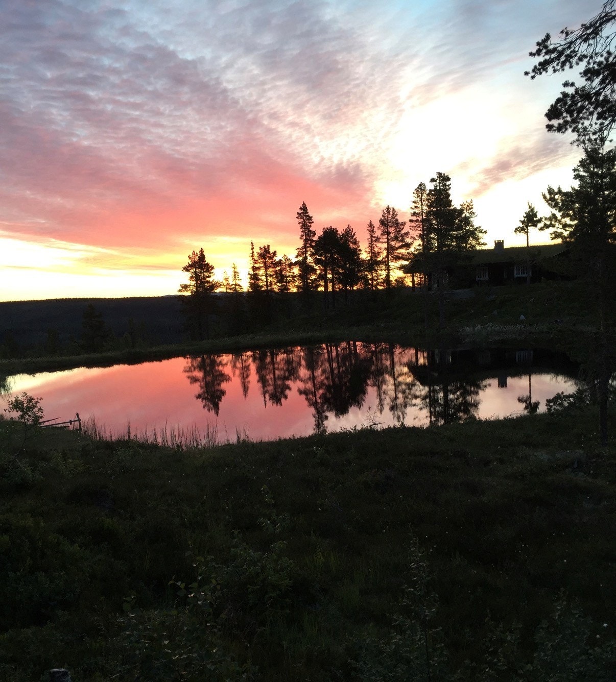 Soloppgang på tjernet. (Selgers private bilde) Galleribilde