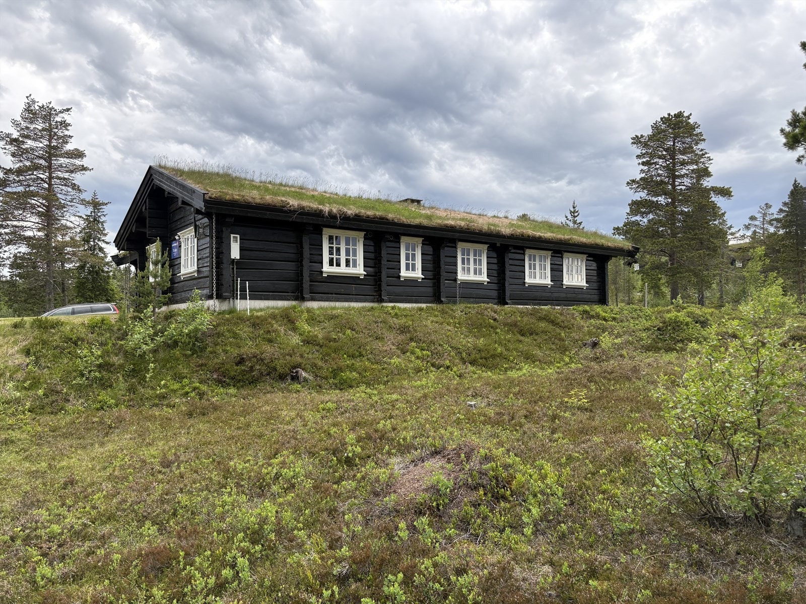 God boltreplass for store og små. (selgers private bilde) Galleribilde