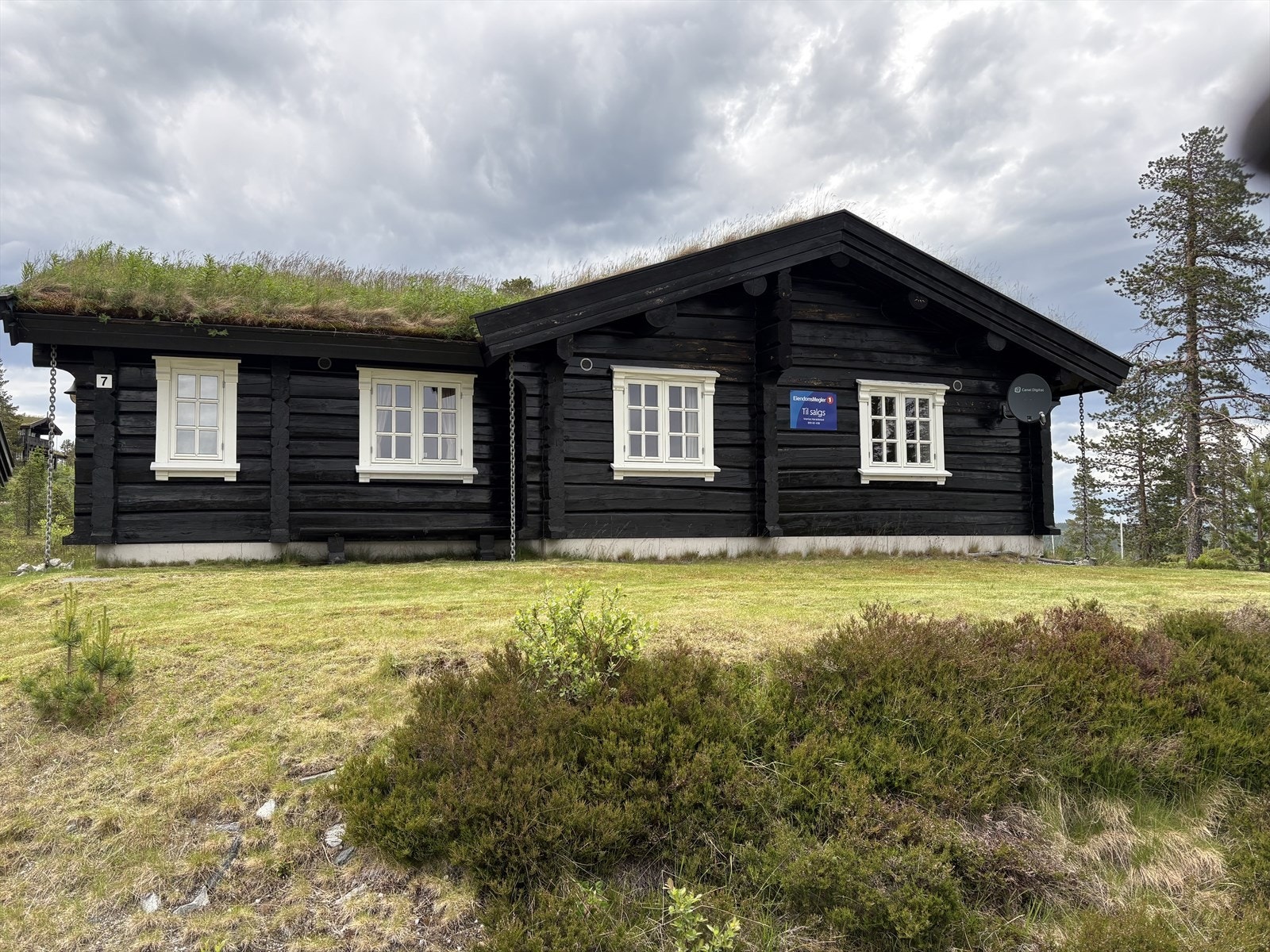 En solid laftehytte med attraktiv beliggenhet. (selgers private bilde) Galleribilde