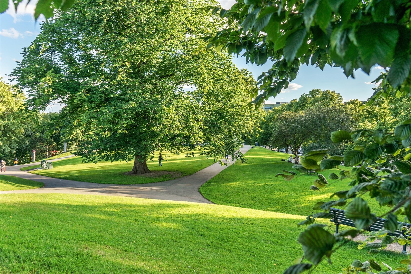 St. Hanshaugen park- En rekke grønne lunger i nærområdet gir gode muligheter for hyggelige sommerdager, samt fine gå- og joggeturer. Galleribilde
