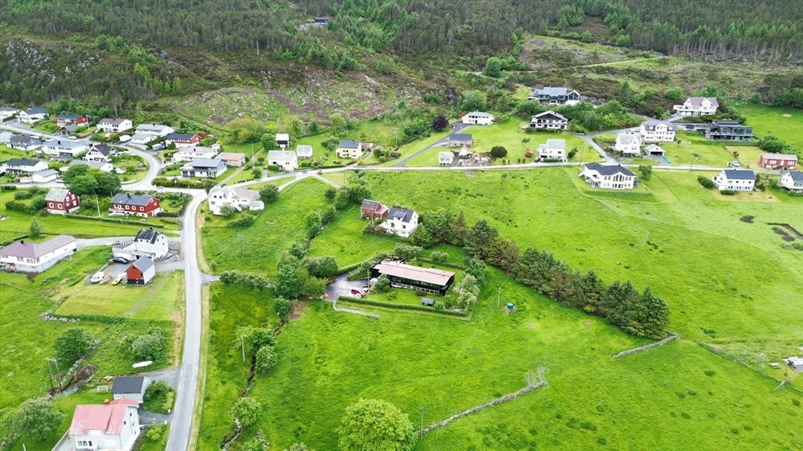 Område. Galleribilde