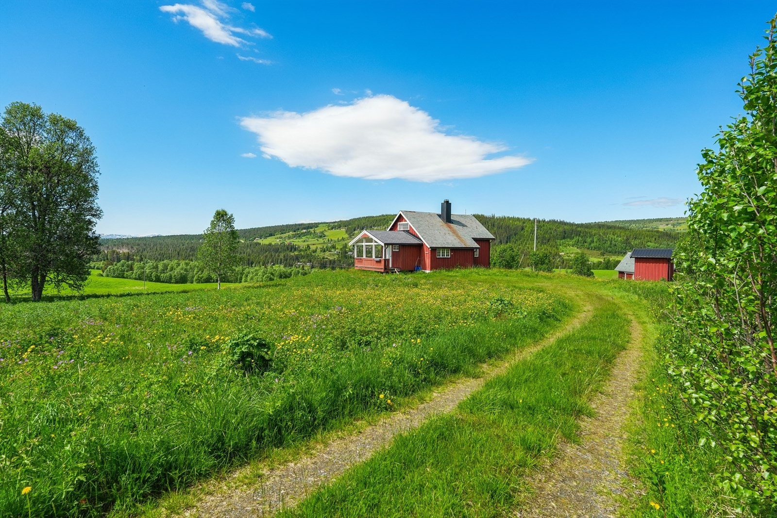 Med nødvendig oppgradering og vedlikehold kan dette bli et hyggelig samlingssted hvor nye hytteminner kan skapes i mange år fremover. Velkommen på visning! Galleribilde