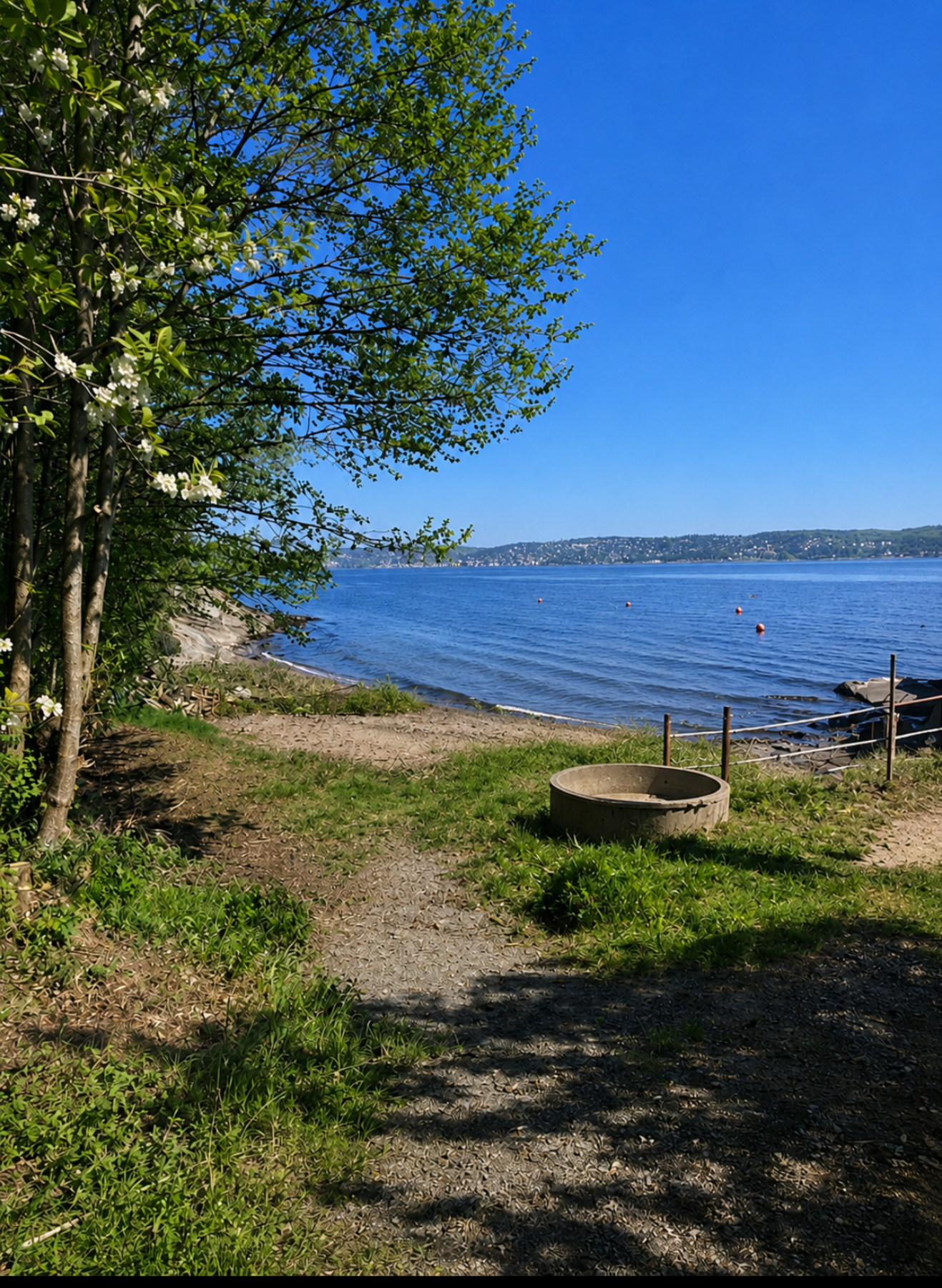 Stranden på nedsiden (Selgers private bilde). Galleribilde