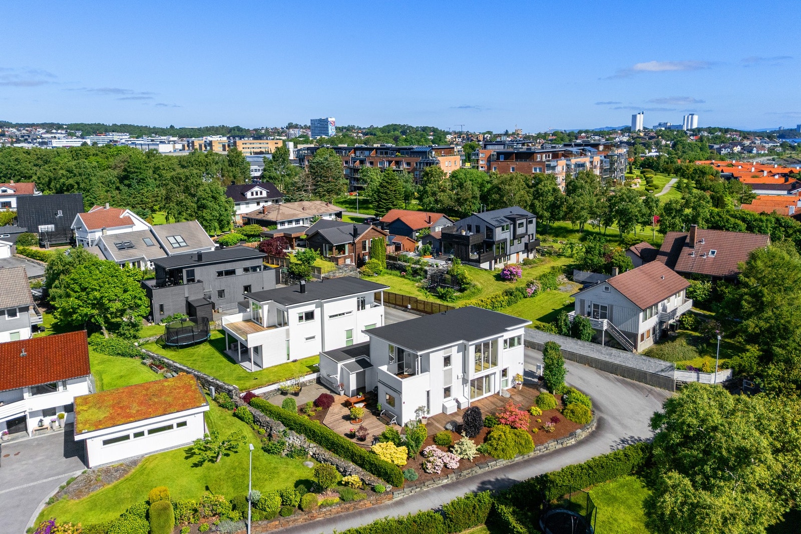 Se den fantastiske beplantning i hagen - en pryd for øyet Galleribilde