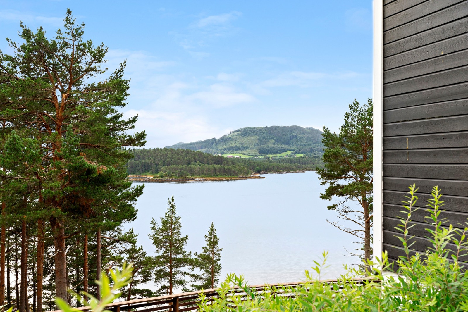 Områdebilde Galleribilde