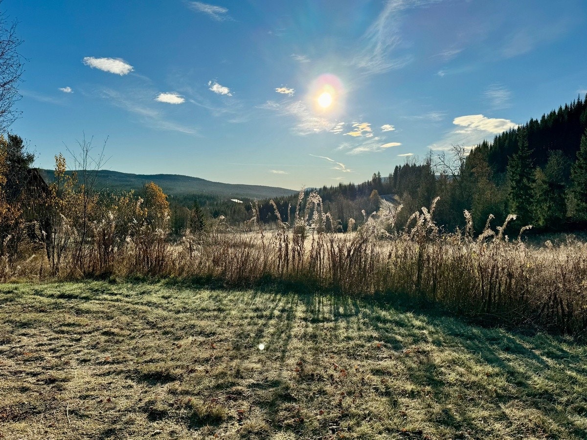 Utsikt - høstdag Galleribilde