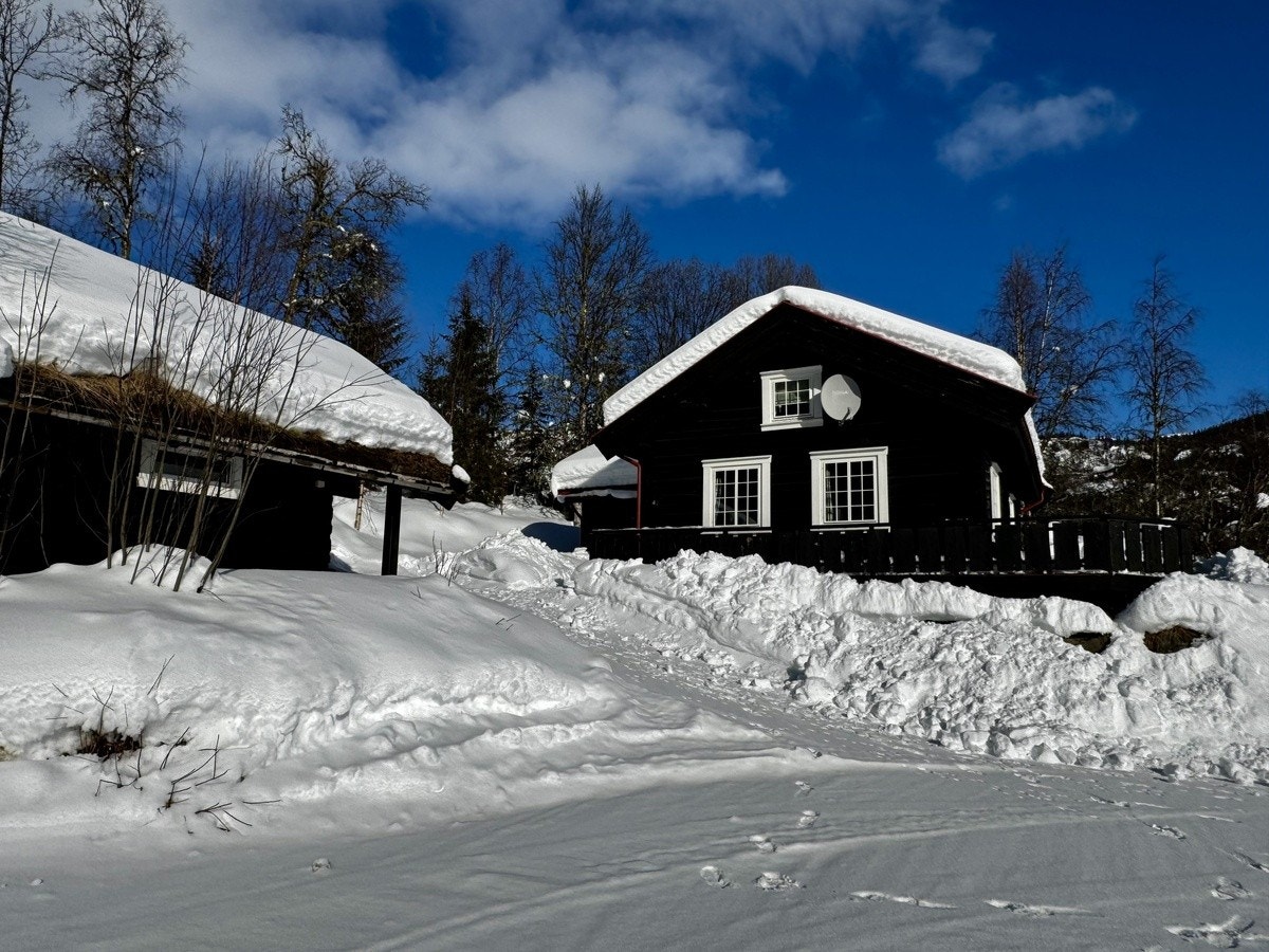 Fasade vinter - vinter Galleribilde