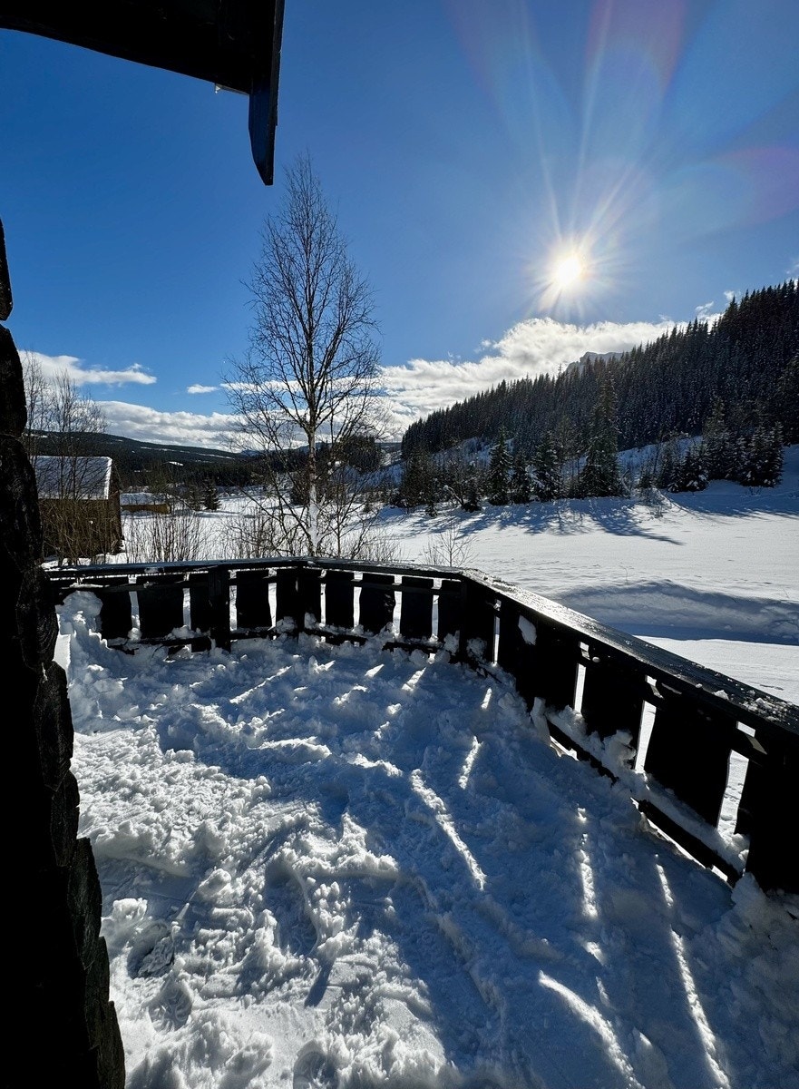 Deler av balkongen - vinter Galleribilde