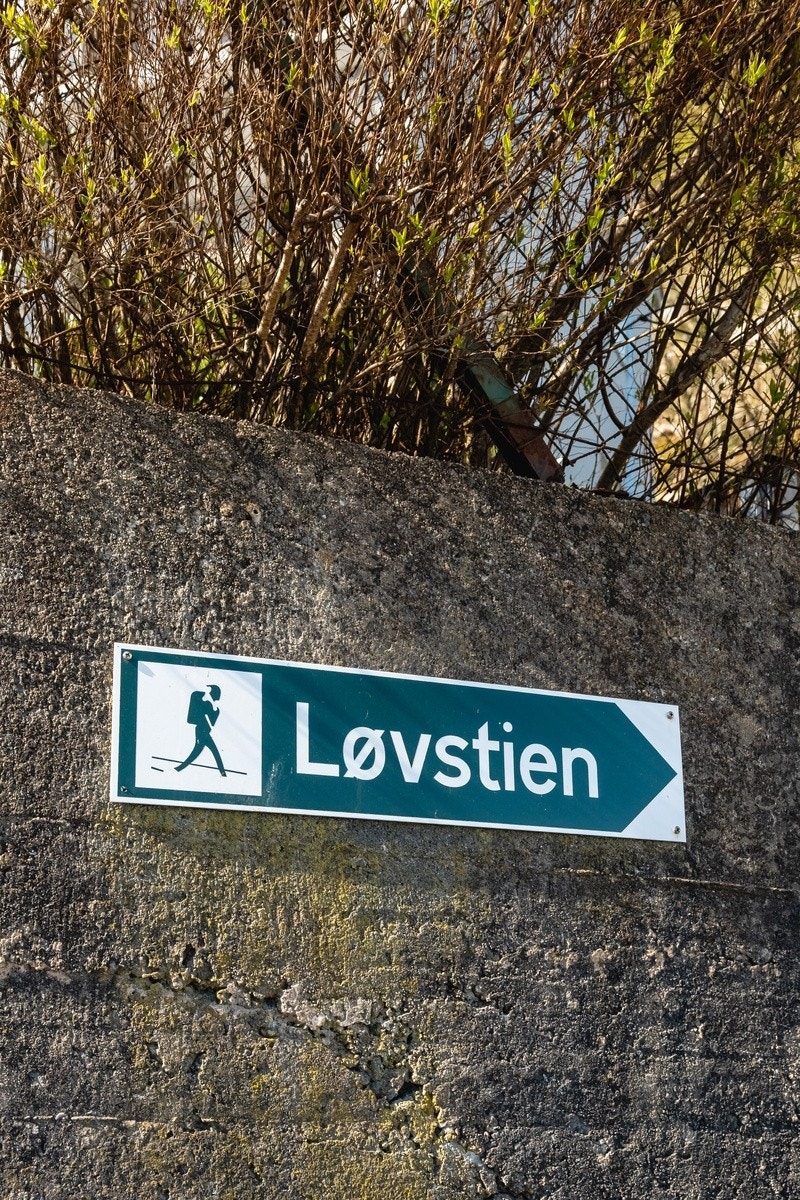 Løvstien Galleribilde