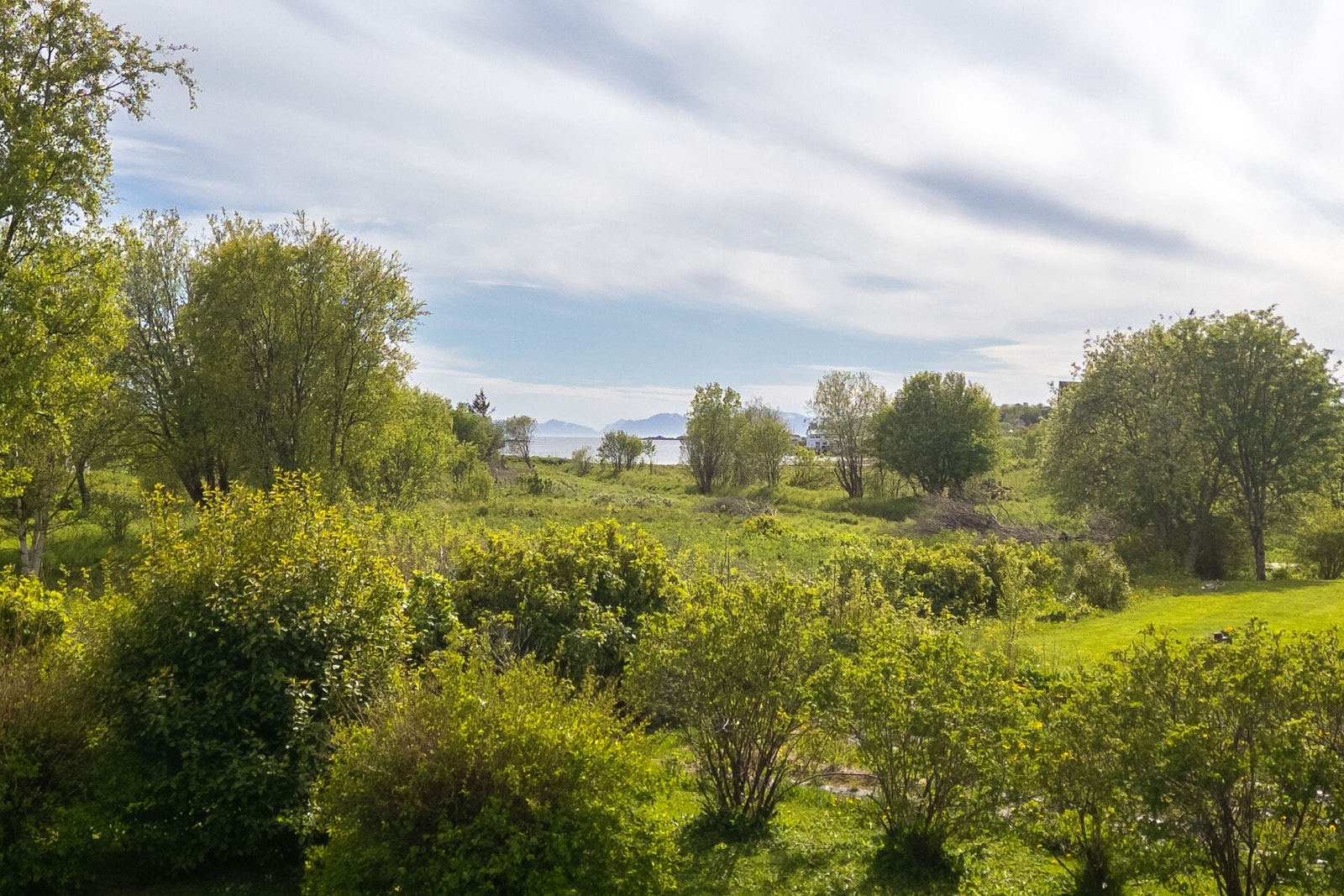 Utsikt over nærområdet og omkringliggende natur. Galleribilde