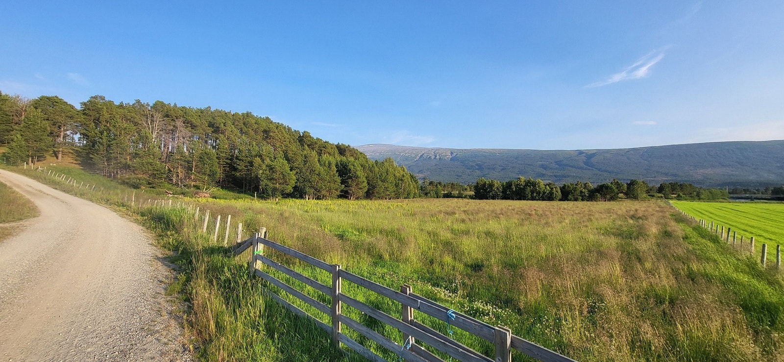 Leirhaugen. Teigen nede ved elva. Dyrka mark og skog. Galleribilde