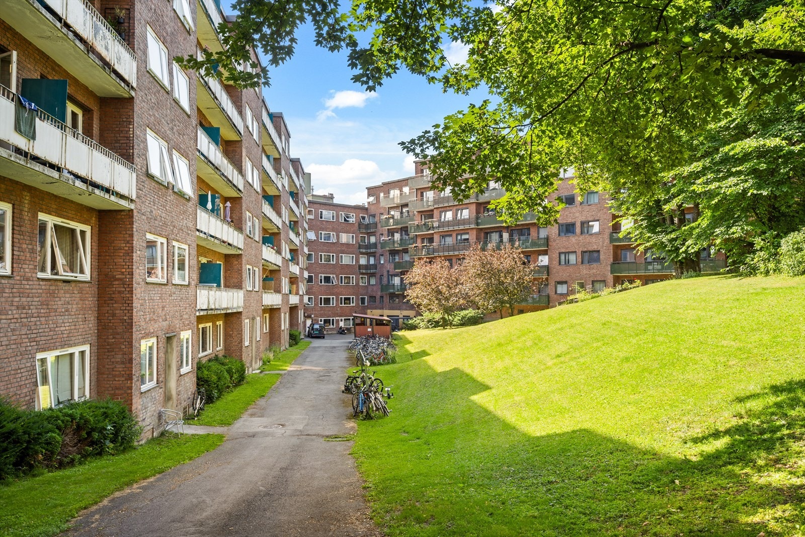 Sameiet har en idyllisk og frodig bakgård Galleribilde